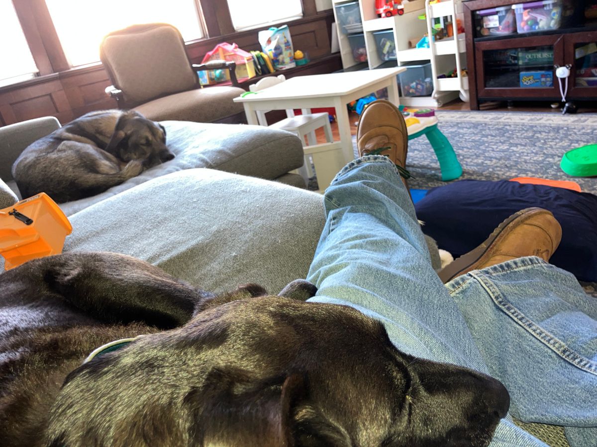 Photo by sigben59 on November 12, 2025 of the Jim Green African Ranger – Leather Midsole in Fudge Crazy Horse.