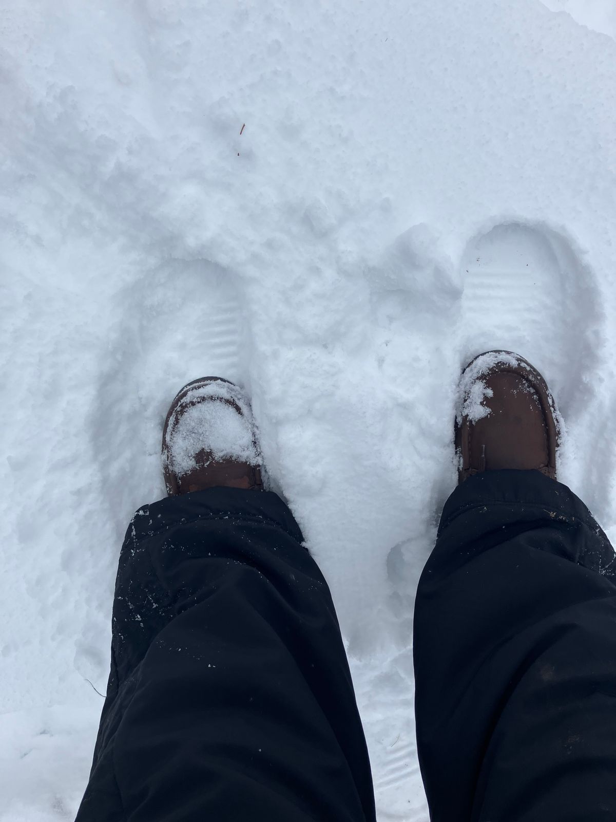 Photo by sigben59 on November 29, 2025 of the Jim Green Meander – Moc-Toe in Bronco Brown - Oily Pull Up.