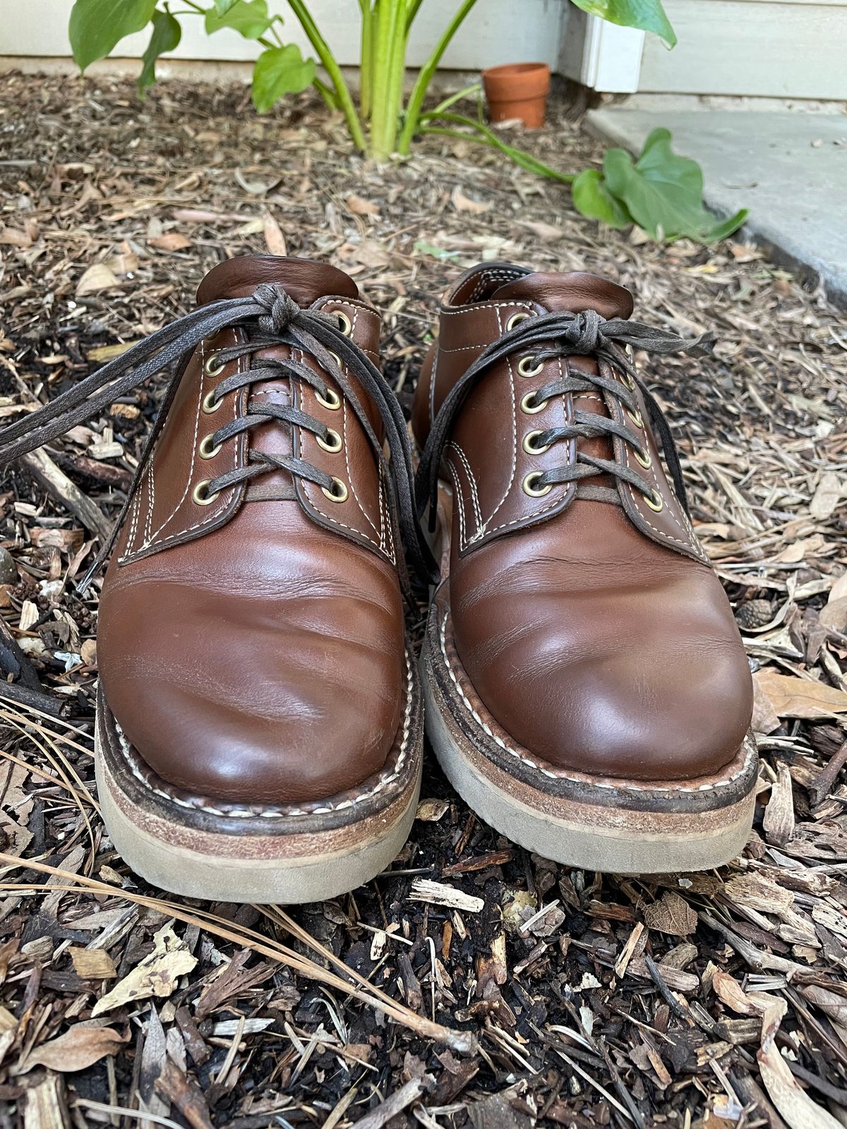 Photo by mrchaselm on March 5, 2023 of the White's Oxford in Horween British Tan Chromexcel.