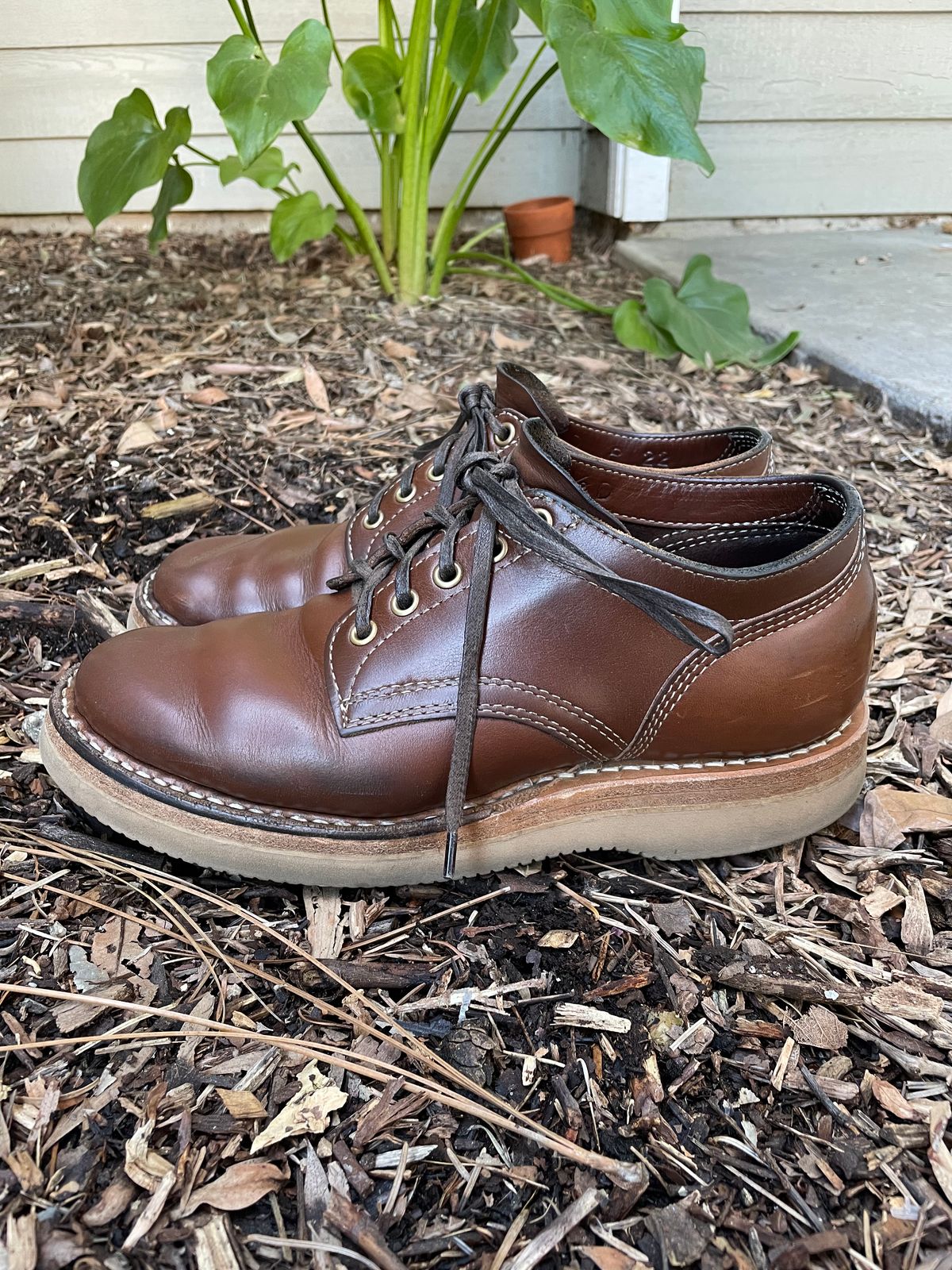 Photo by mrchaselm on March 5, 2023 of the White's Oxford in Horween British Tan Chromexcel.
