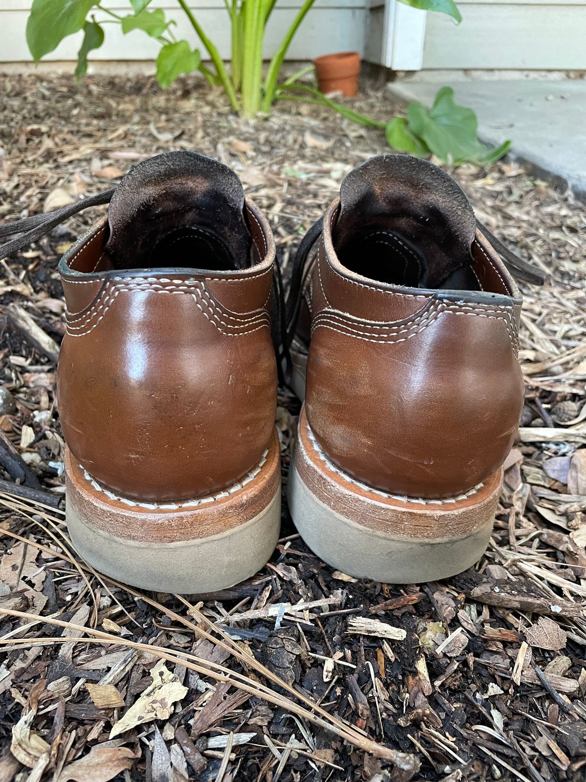 Photo by mrchaselm on March 5, 2023 of the White's Oxford in Horween British Tan Chromexcel.