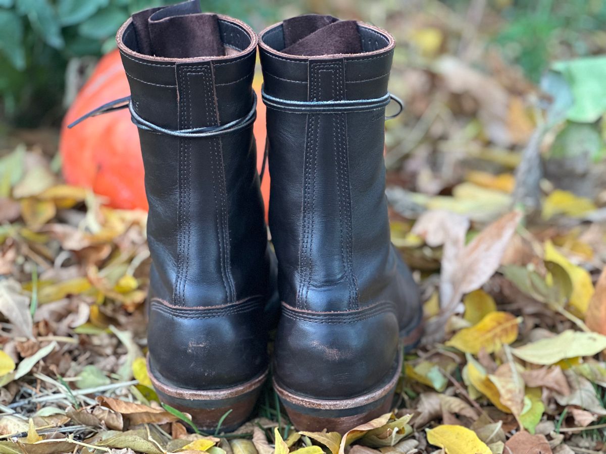 Photo by jayandhisboots on November 1, 2024 of the White's Packer Pointed Toe in Seidel Brown Dress.