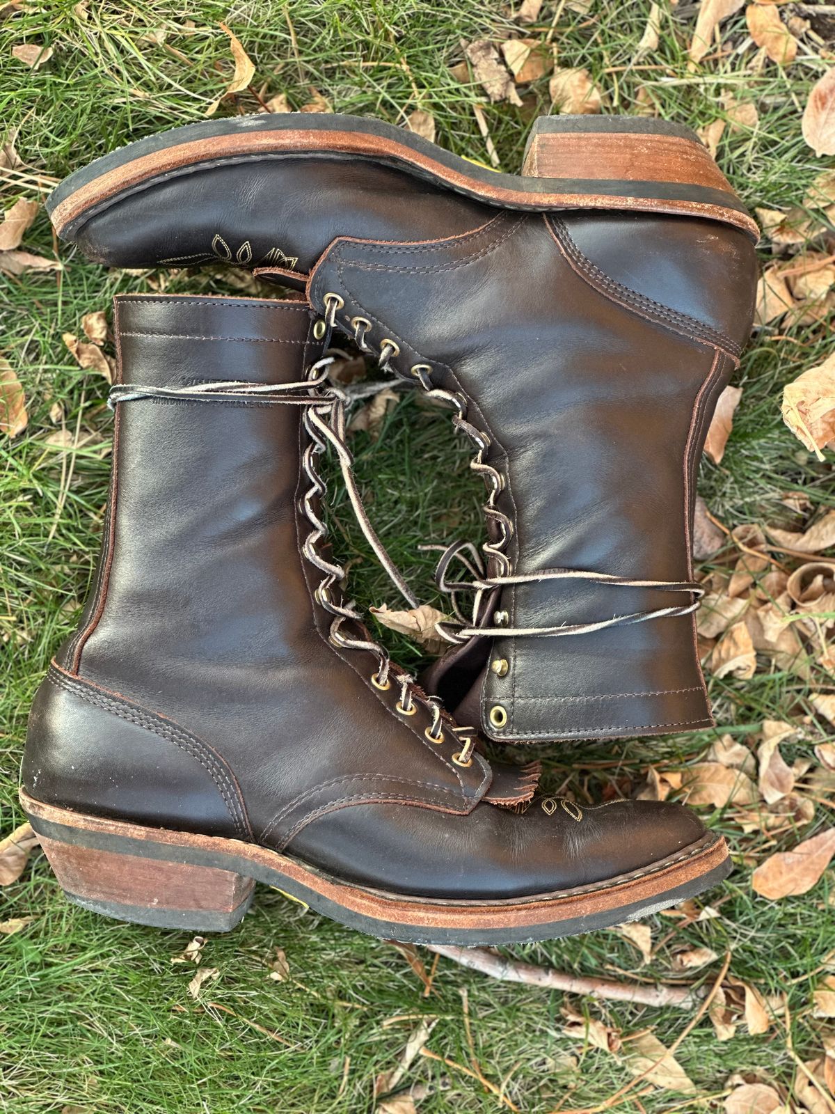 Photo by jayandhisboots on December 1, 2024 of the White's Packer Pointed Toe in Seidel Brown Dress.