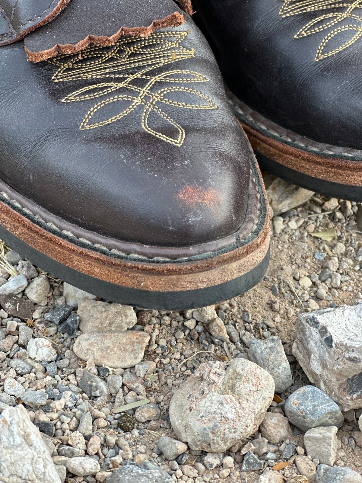 Photo by jayandhisboots on January 3, 2025 of the White's Packer Pointed Toe in Seidel Brown Dress.