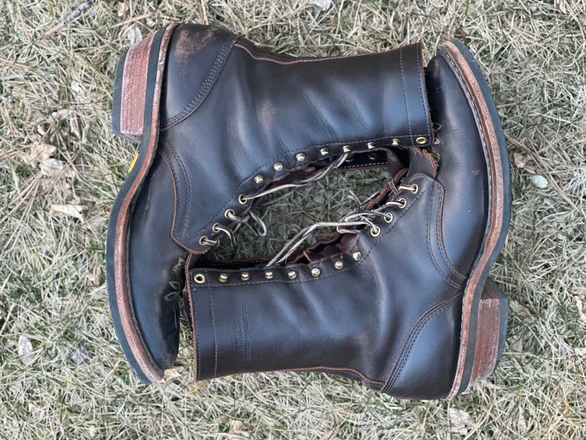 Photo by jayandhisboots on March 3, 2025 of the White's Packer Pointed Toe in Seidel Brown Dress.