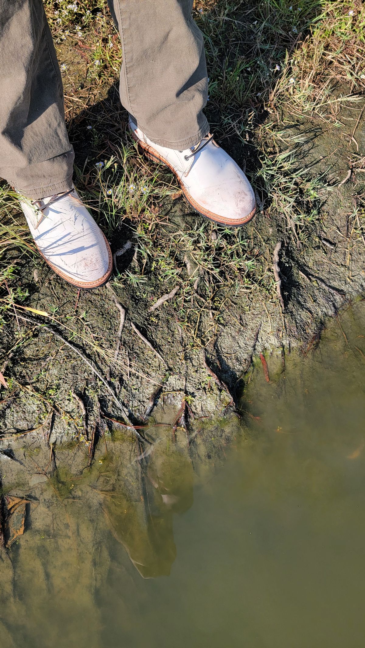 Photo by Jeppysboots on October 1, 2023 of the Oak Street Bootmakers Trench Boot in Volpi Whitewash Overdye Abetone.