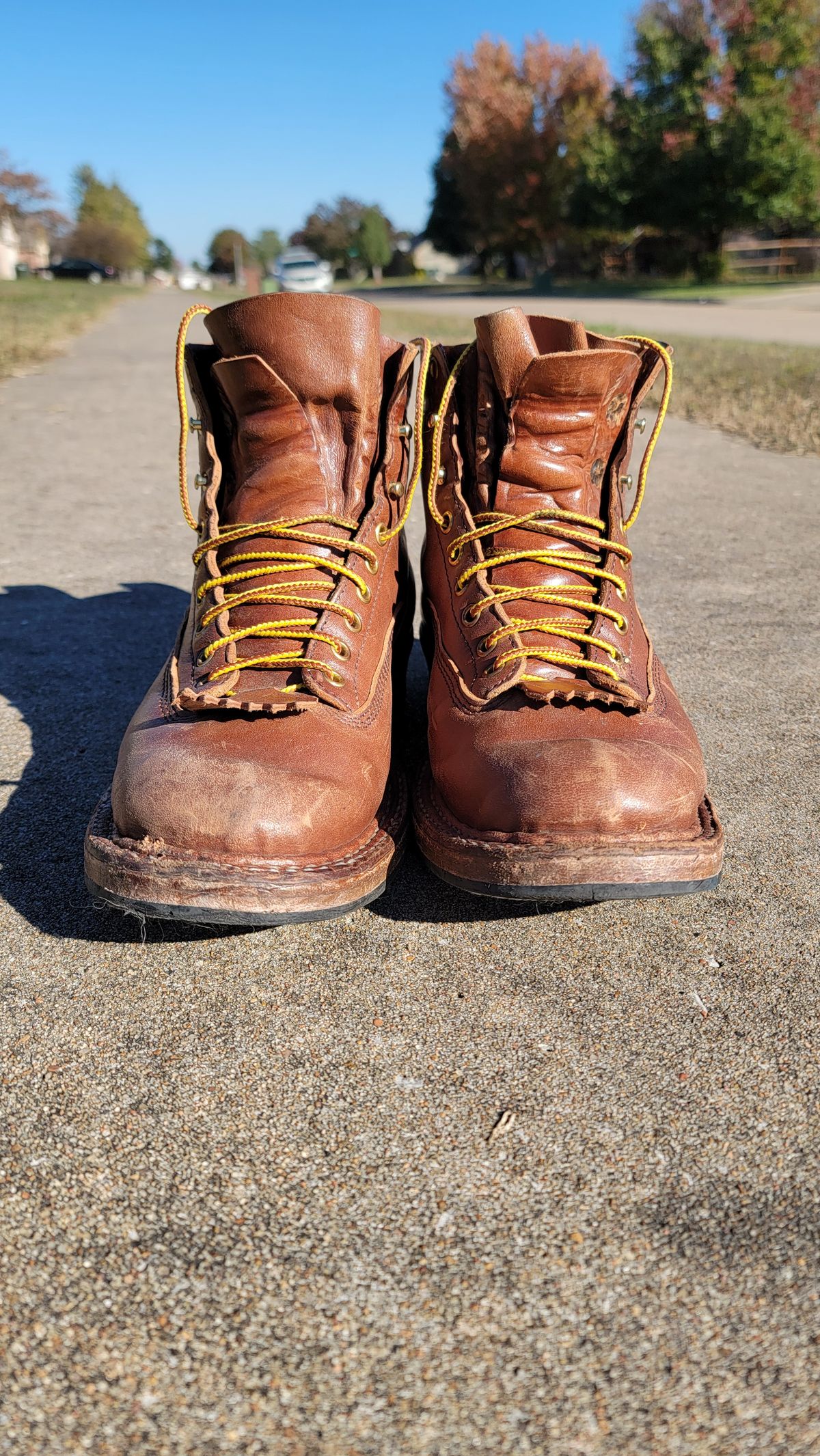 Photo by Jeppysboots on November 3, 2025 of the White's 350 Cutter in Toscanello Horsehide.