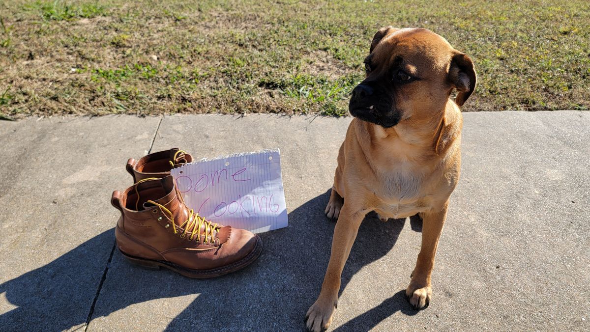 Photo by Jeppysboots on November 3, 2025 of the White's 350 Cutter in Toscanello Horsehide.