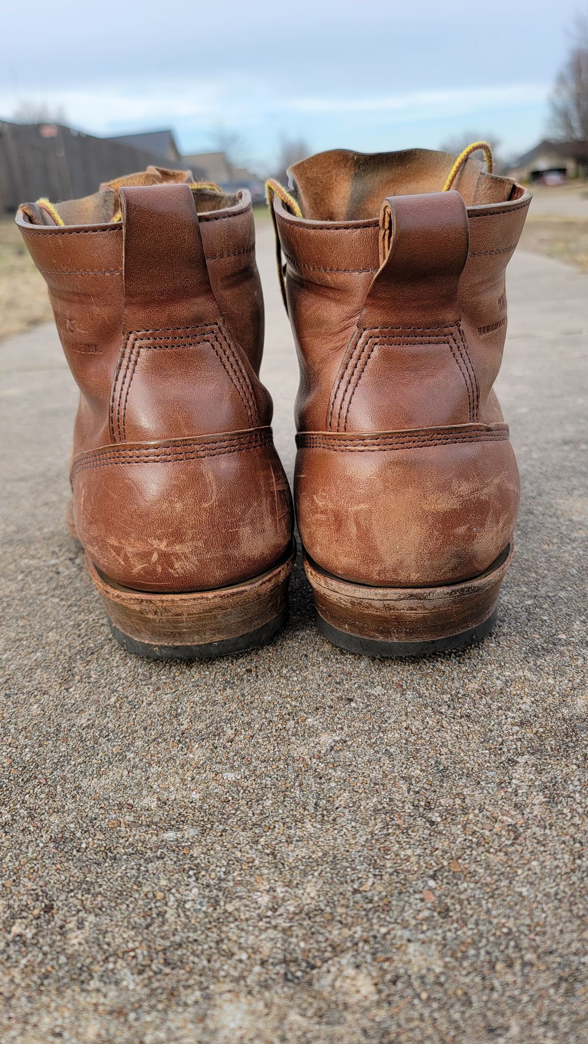 Photo by Jeppysboots on January 4, 2026 of the White's 350 Cutter in Toscanello Horsehide.