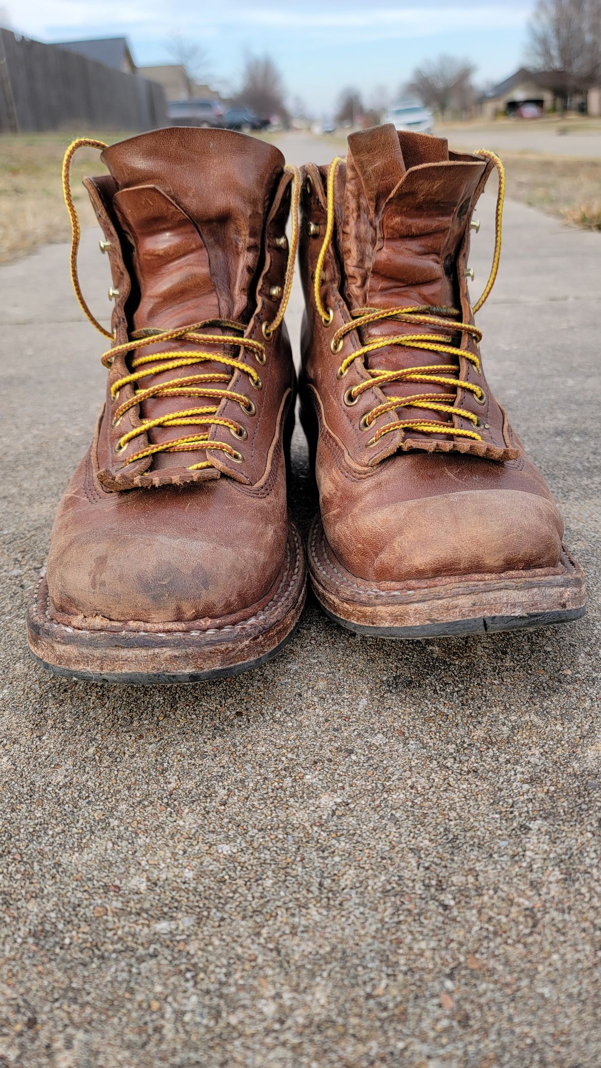 Photo by Jeppysboots on January 4, 2026 of the White's 350 Cutter in Toscanello Horsehide.
