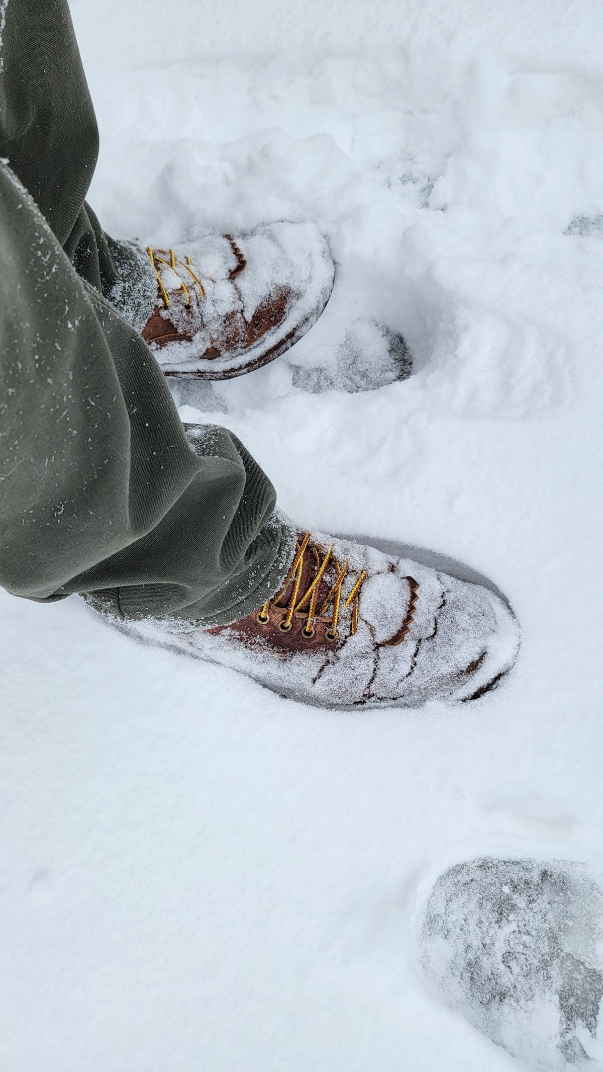 Photo by Jeppysboots on January 24, 2026 of the White's 350 Cutter in Toscanello Horsehide.