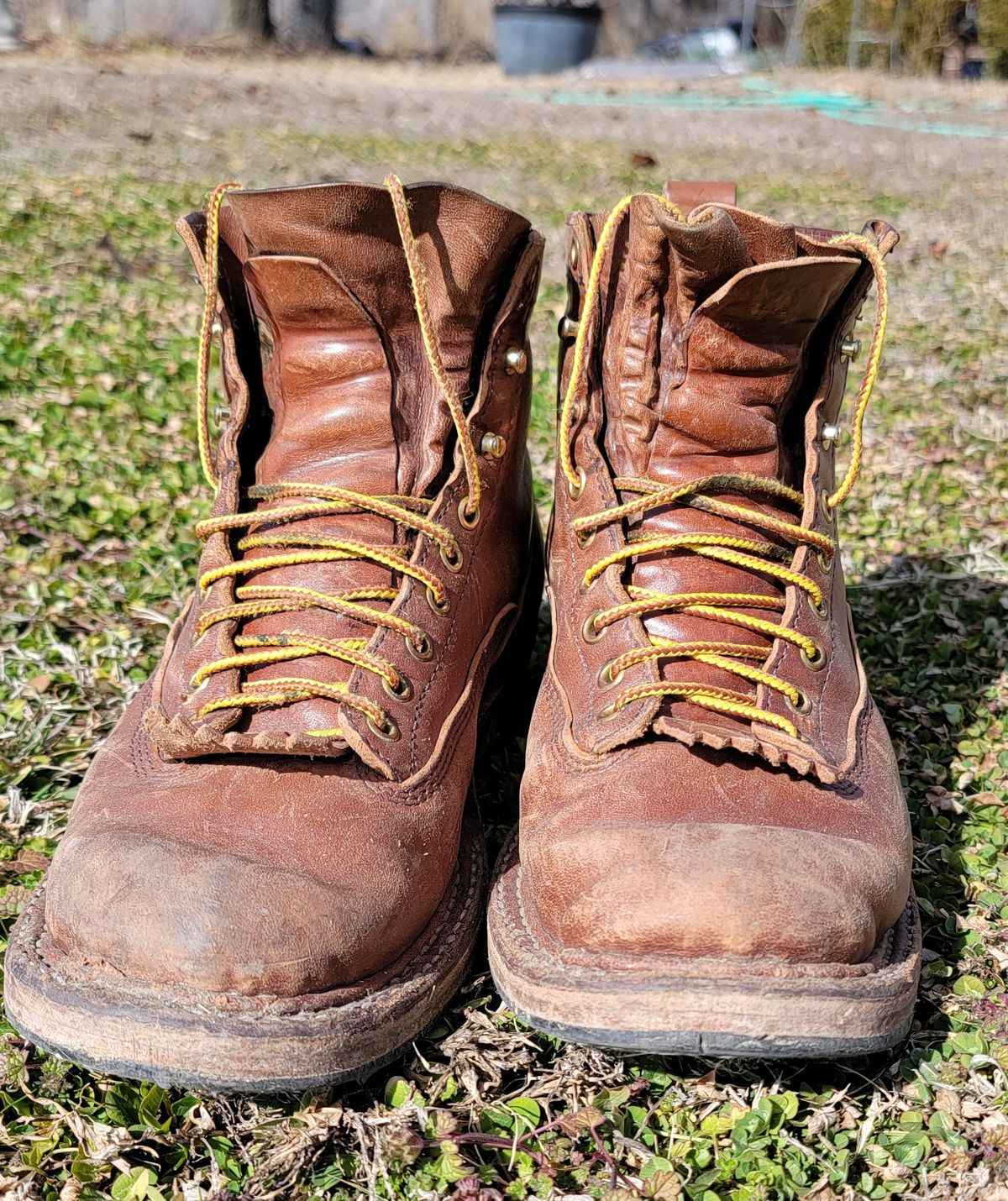 Photo by Jeppysboots on February 5, 2026 of the White's 350 Cutter in Toscanello Horsehide.