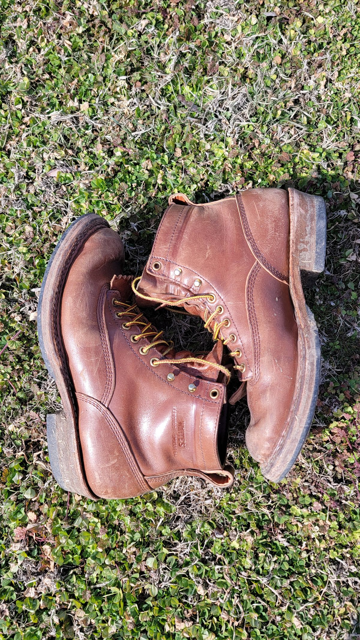 Photo by Jeppysboots on February 5, 2026 of the White's 350 Cutter in Toscanello Horsehide.