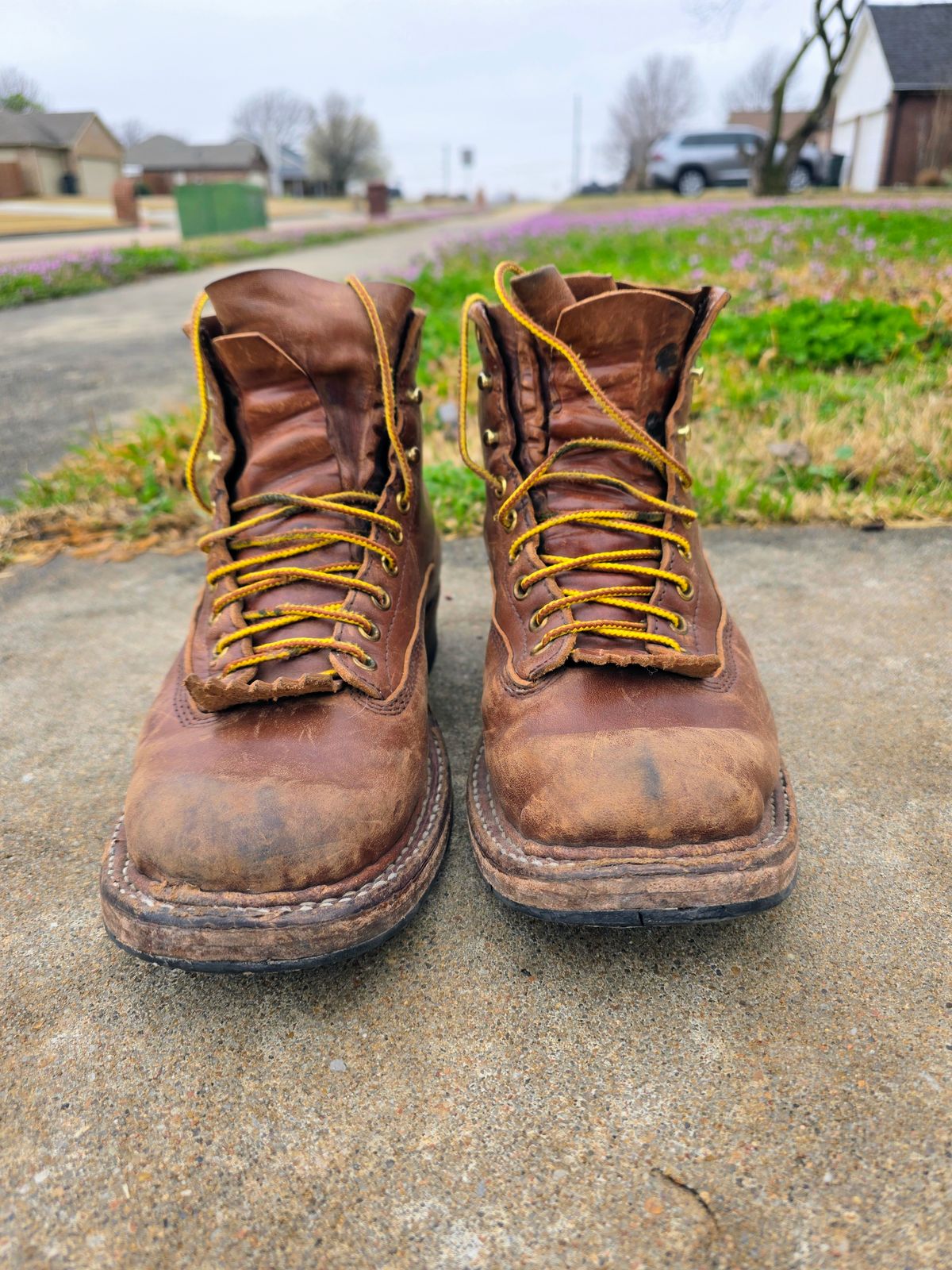 Photo by Jeppysboots on March 4, 2026 of the White's 350 Cutter in Toscanello Horsehide.