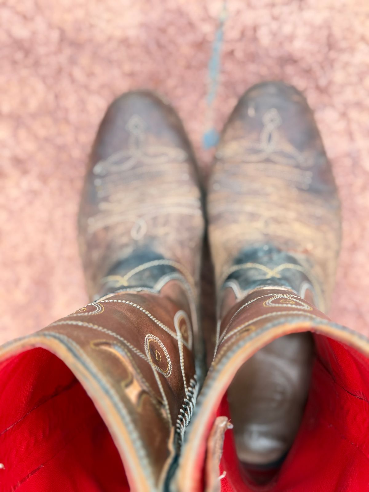 Photo by aminnix829 on April 5, 2026 of the Fortis Boots Yudistira Cowboy Boot in Natural Horsebutt Reverse.