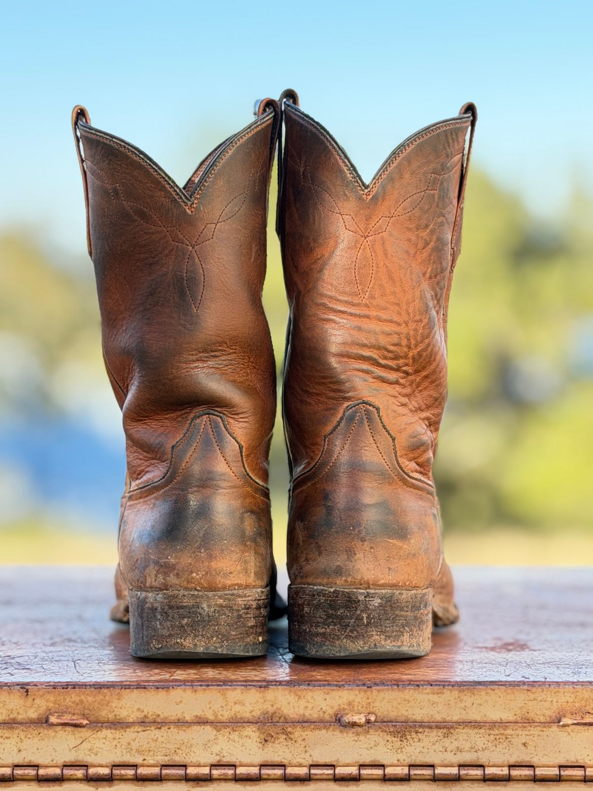 Photo by aminnix829 on November 5, 2025 of the Rios of Mercedes R9025 in Chestnut Blackhawk.