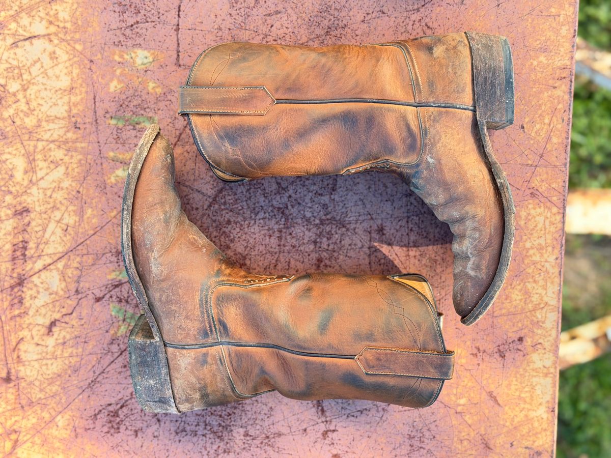 Photo by aminnix829 on November 5, 2025 of the Rios of Mercedes R9025 in Chestnut Blackhawk.