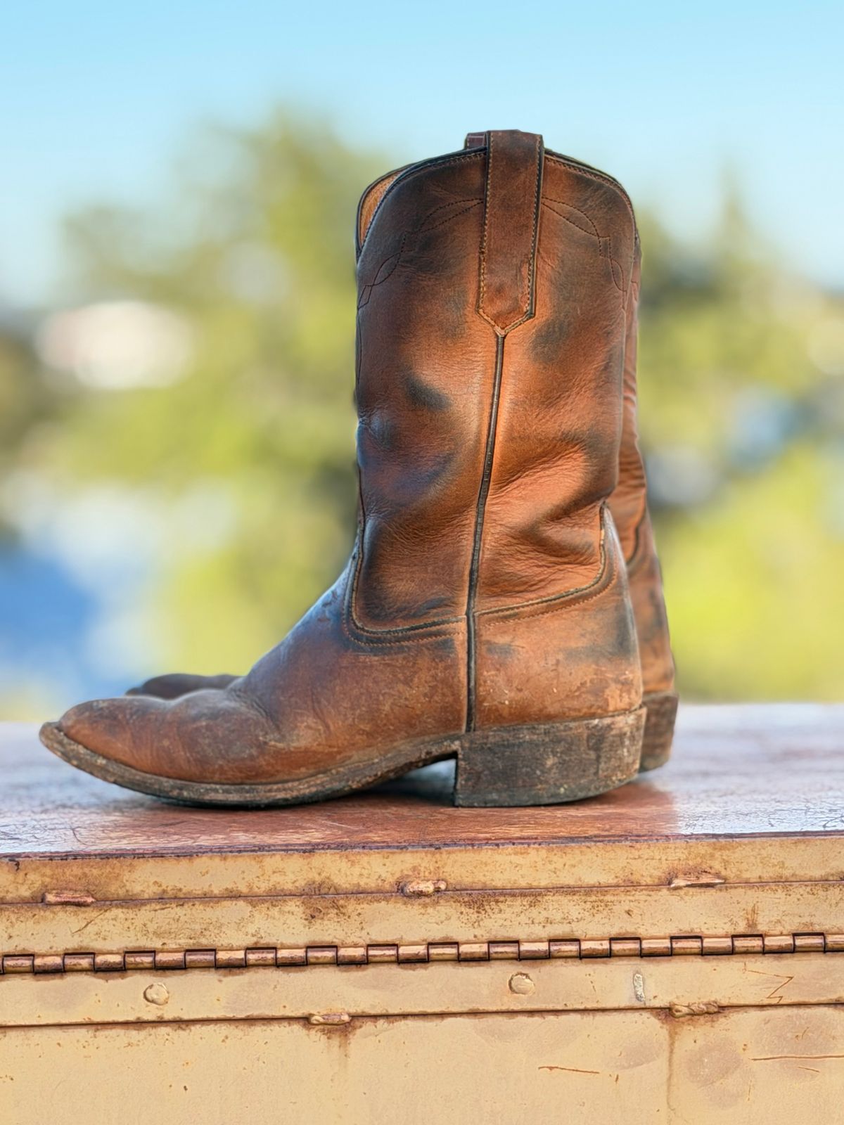 Photo by aminnix829 on November 5, 2025 of the Rios of Mercedes R9025 in Chestnut Blackhawk.