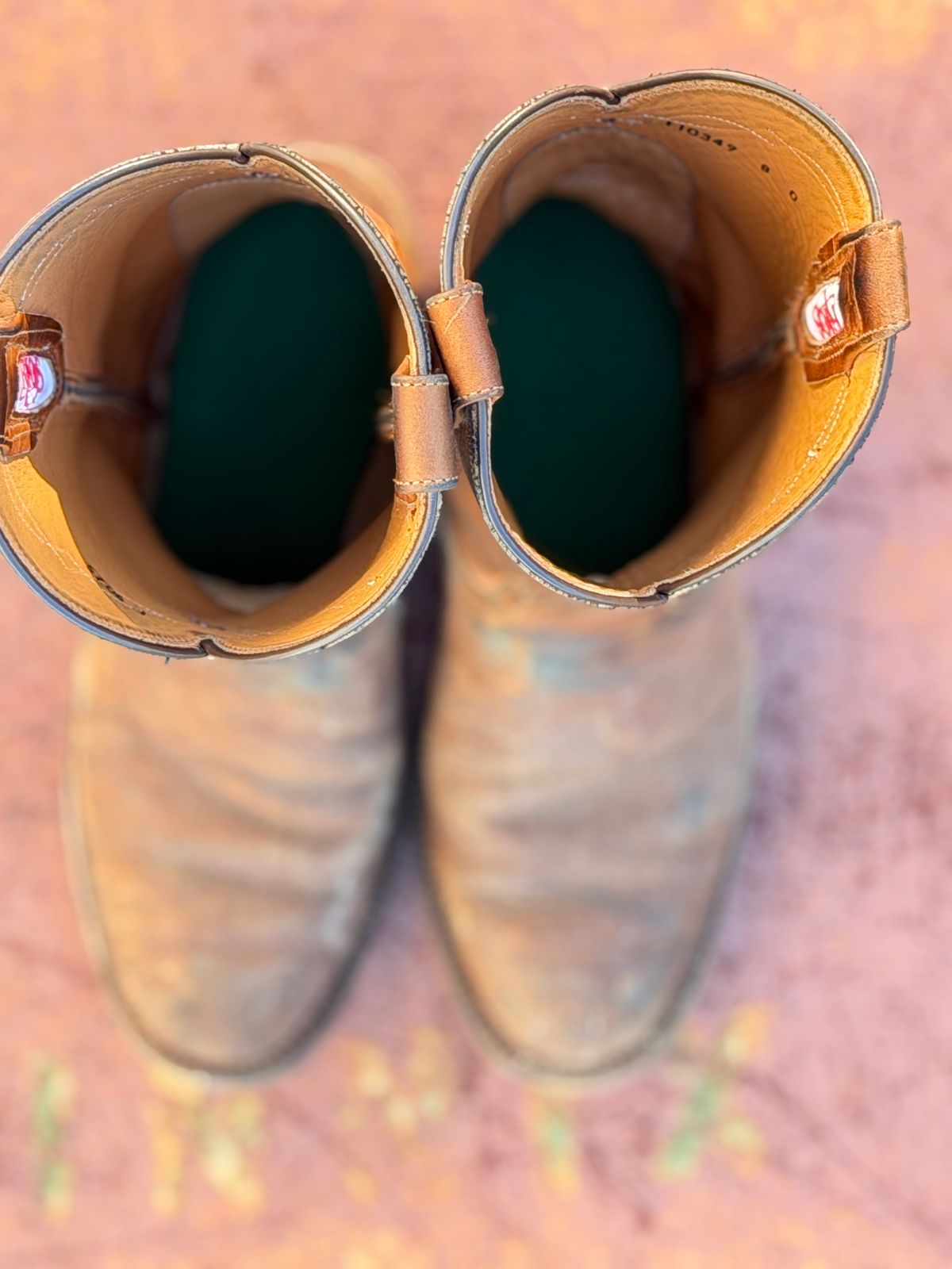 Photo by aminnix829 on November 5, 2025 of the Rios of Mercedes R9025 in Chestnut Blackhawk.