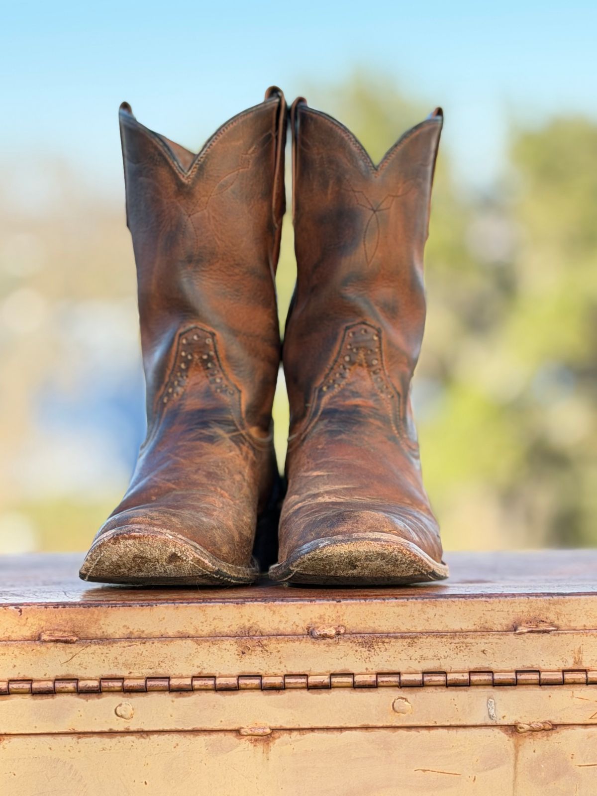 Photo by aminnix829 on December 2, 2025 of the Rios of Mercedes R9025 in Chestnut Blackhawk.