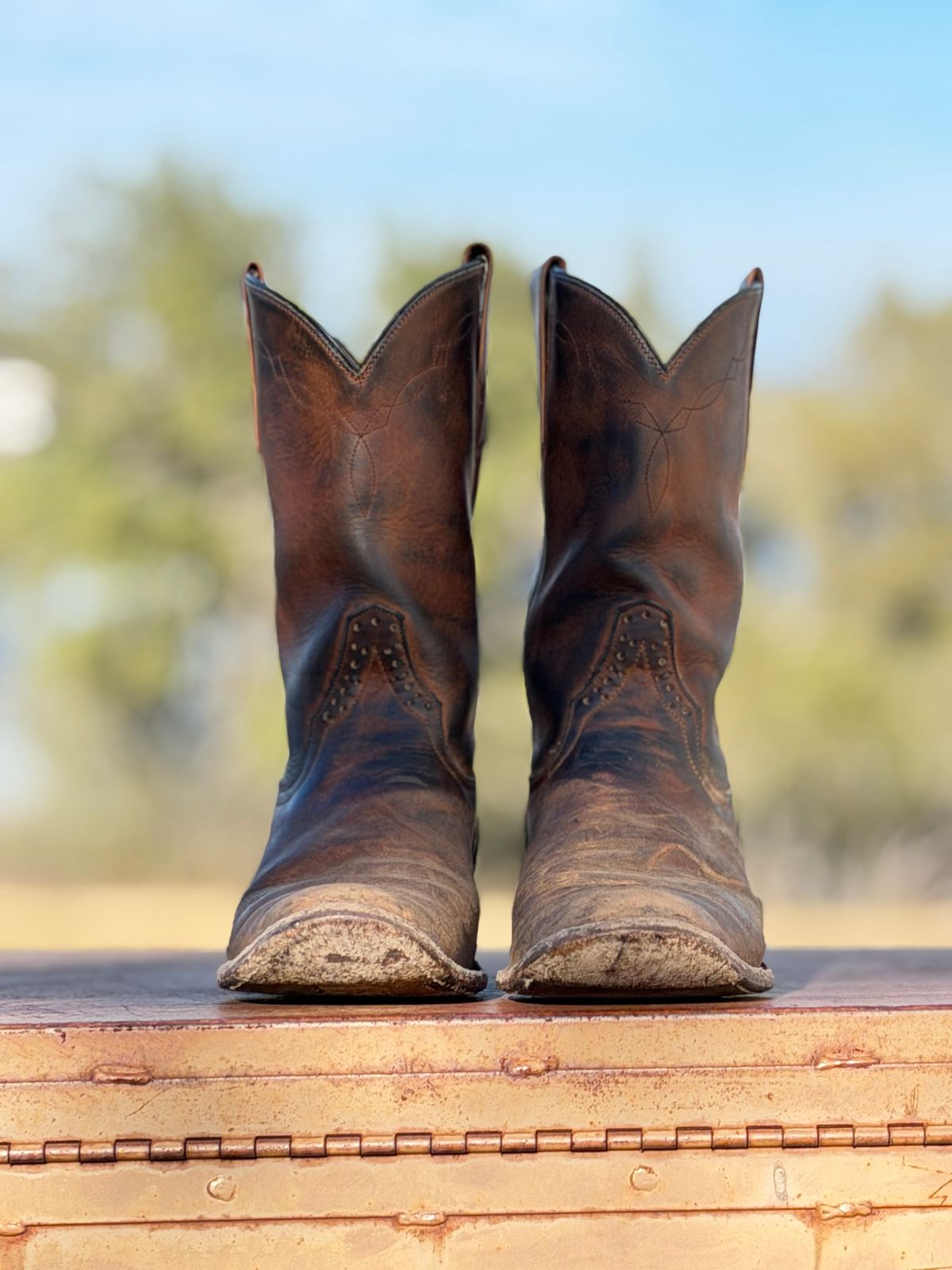 Photo by aminnix829 on January 4, 2026 of the Rios of Mercedes R9025 in Chestnut Blackhawk.