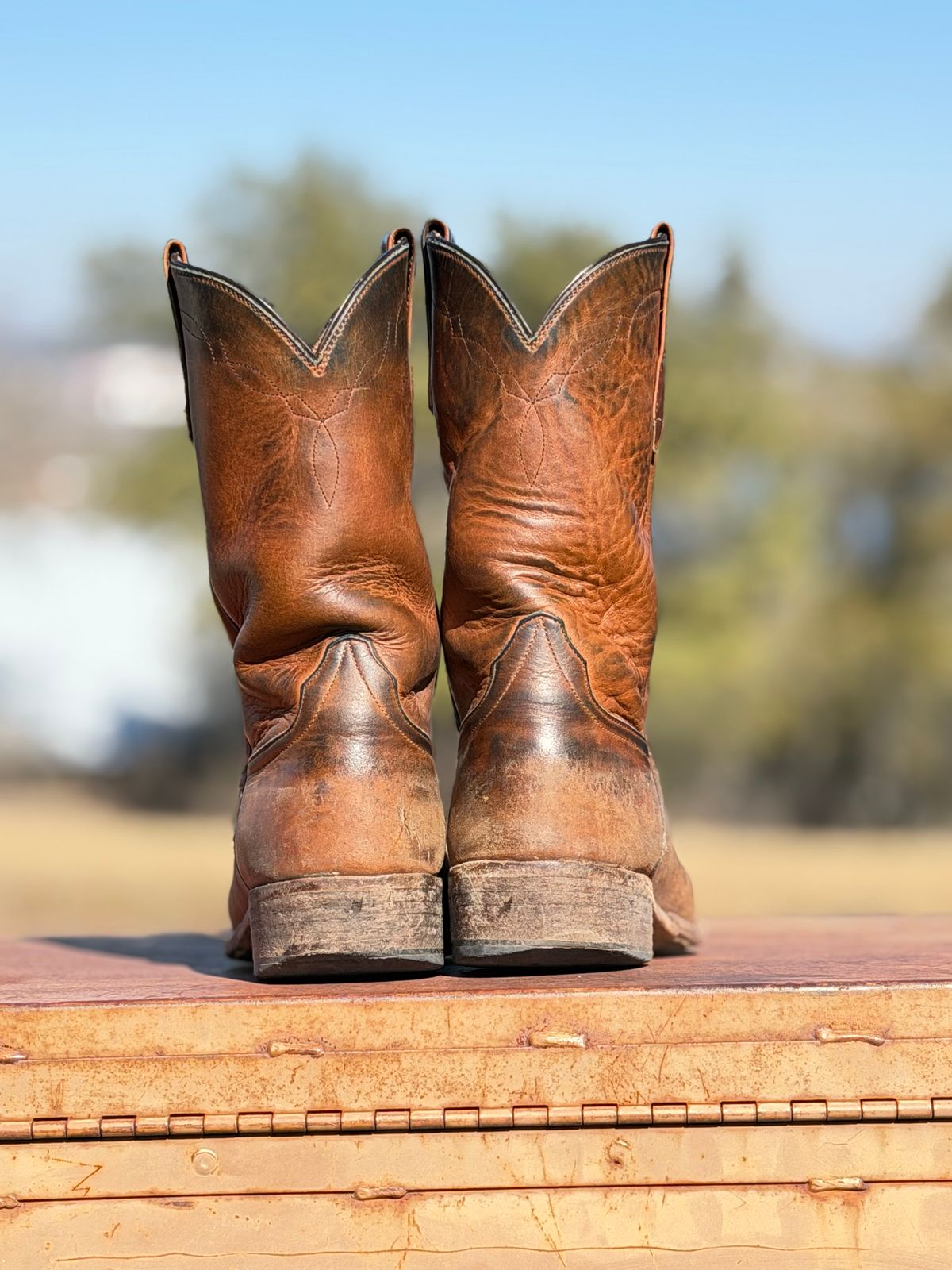 Photo by aminnix829 on February 1, 2026 of the Rios of Mercedes R9025 in Chestnut Blackhawk.