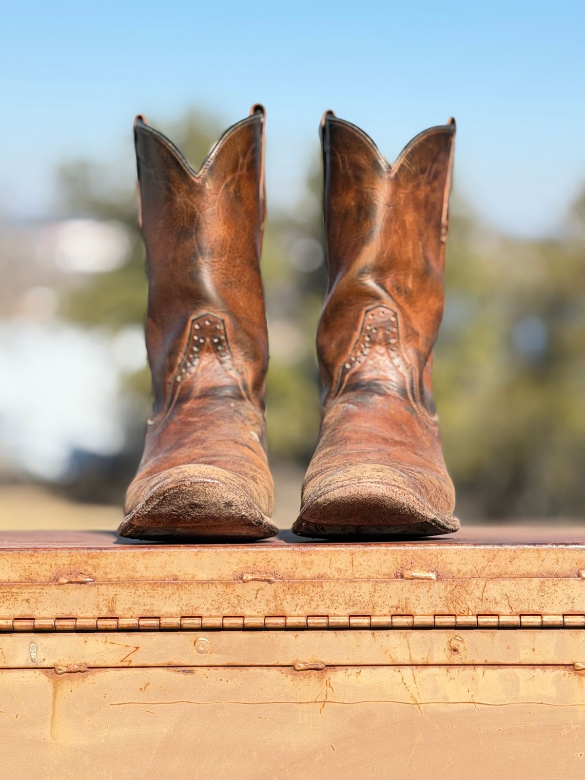 Photo by aminnix829 on February 1, 2026 of the Rios of Mercedes R9025 in Chestnut Blackhawk.