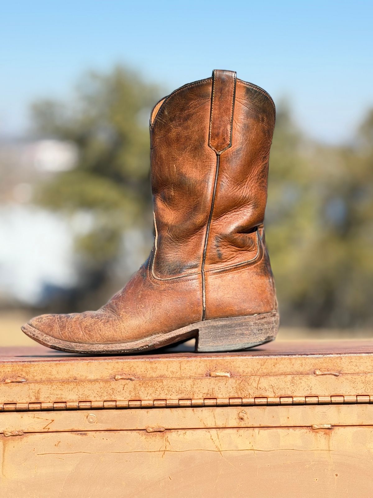 Photo by aminnix829 on February 1, 2026 of the Rios of Mercedes R9025 in Chestnut Blackhawk.