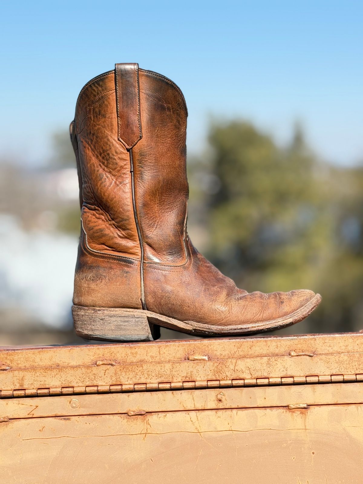 Photo by aminnix829 on February 1, 2026 of the Rios of Mercedes R9025 in Chestnut Blackhawk.