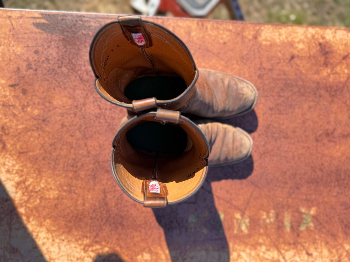 Photo by aminnix829 on February 1, 2026 of the Rios of Mercedes R9025 in Chestnut Blackhawk.