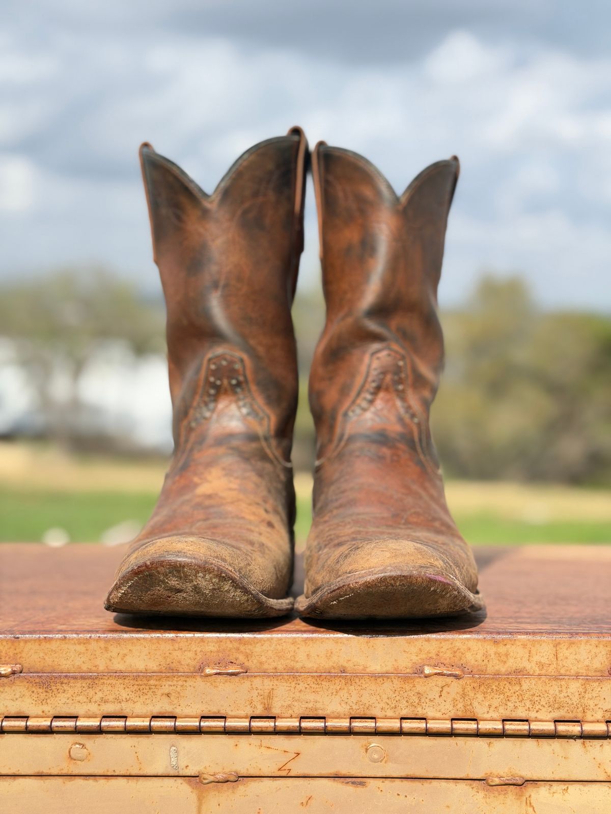 Photo by aminnix829 on March 4, 2026 of the Rios of Mercedes R9025 in Chestnut Blackhawk.