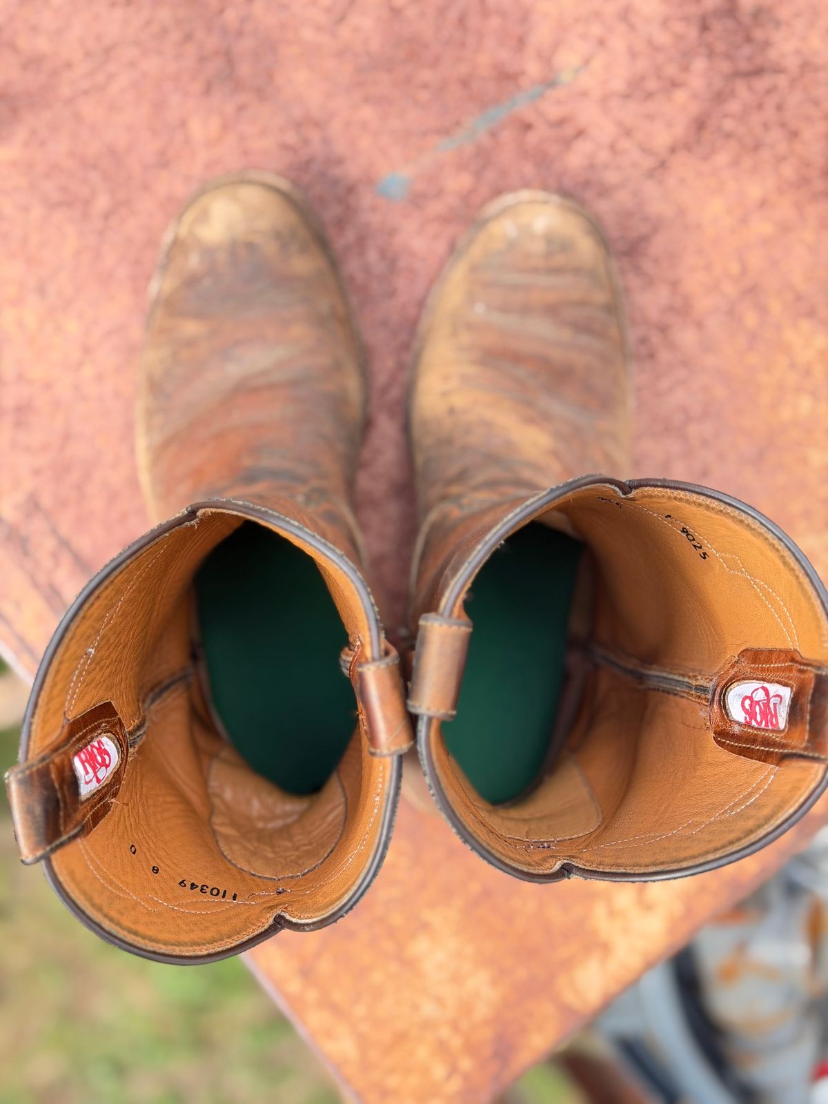 Photo by aminnix829 on March 4, 2026 of the Rios of Mercedes R9025 in Chestnut Blackhawk.