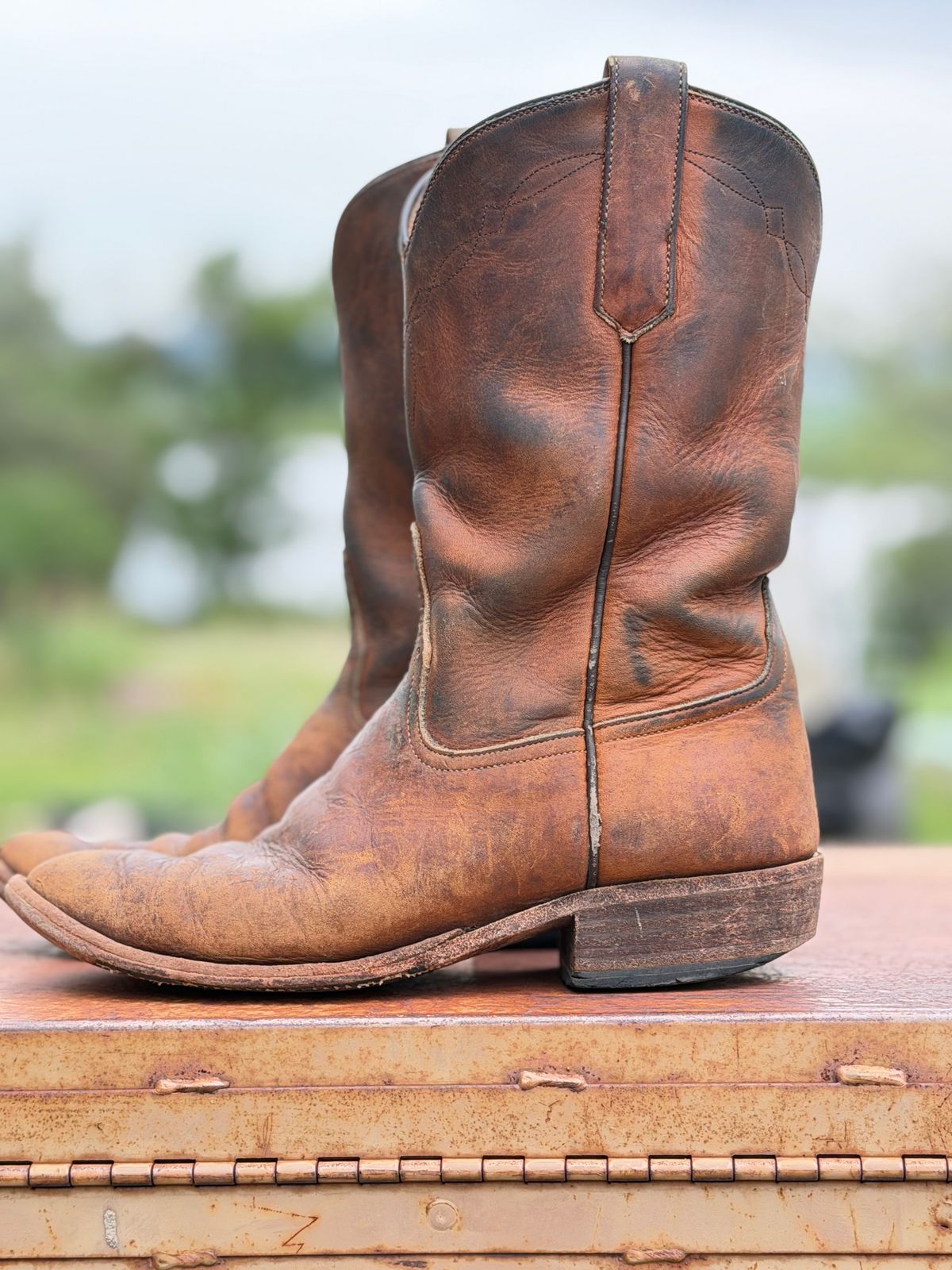 Photo by aminnix829 on April 5, 2026 of the Rios of Mercedes R9025 in Chestnut Blackhawk.