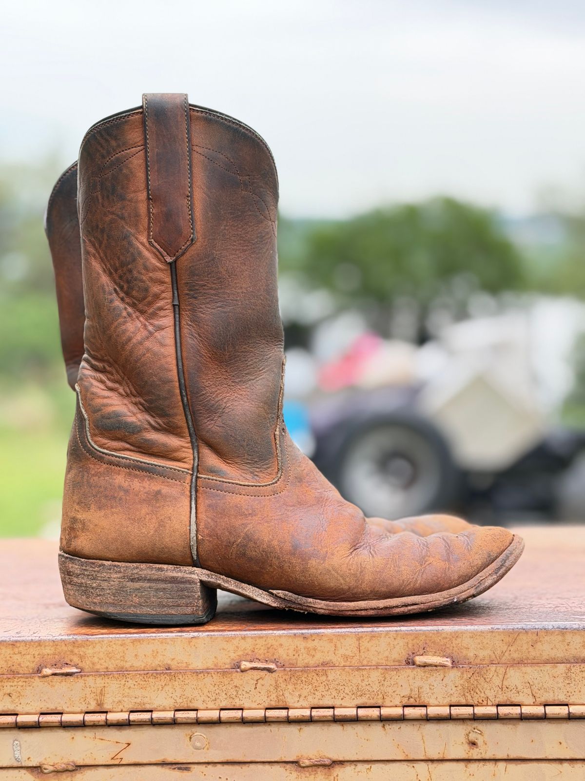 Photo by aminnix829 on April 5, 2026 of the Rios of Mercedes R9025 in Chestnut Blackhawk.