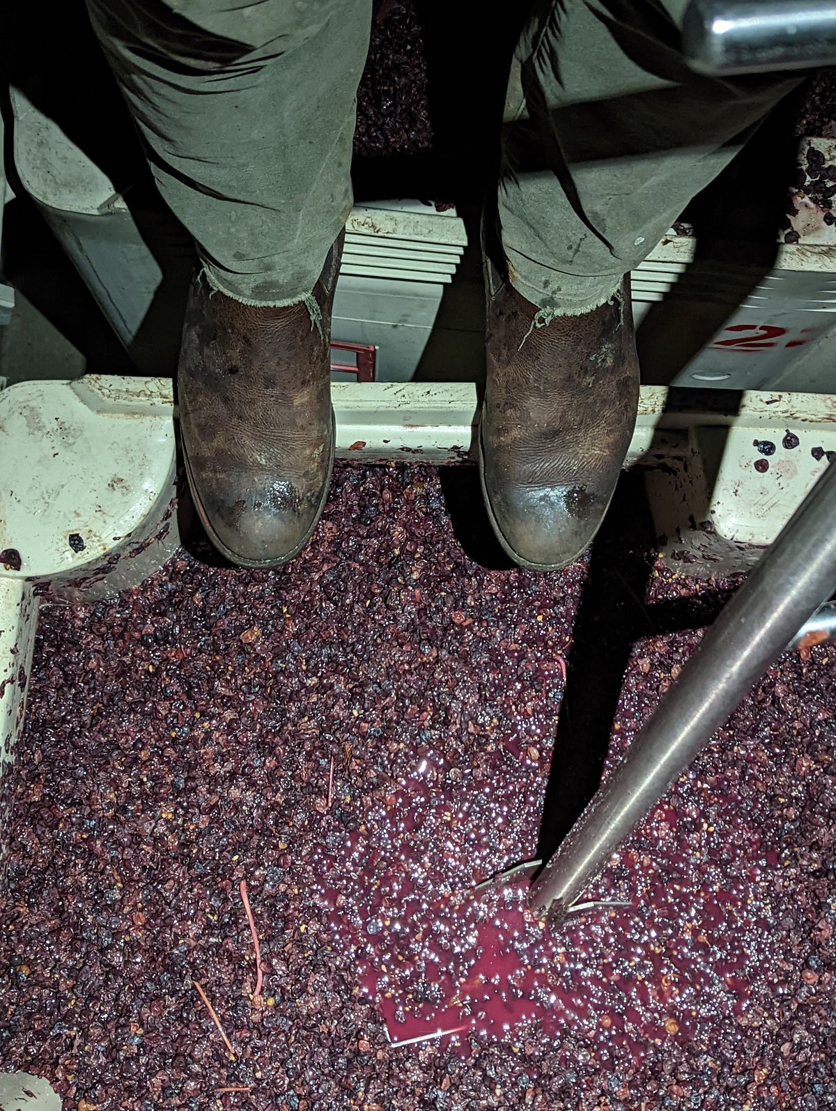 Photo by CanardGris on November 6, 2022 of the Mark Albert Chelsea Boot in Unlisted Leather.