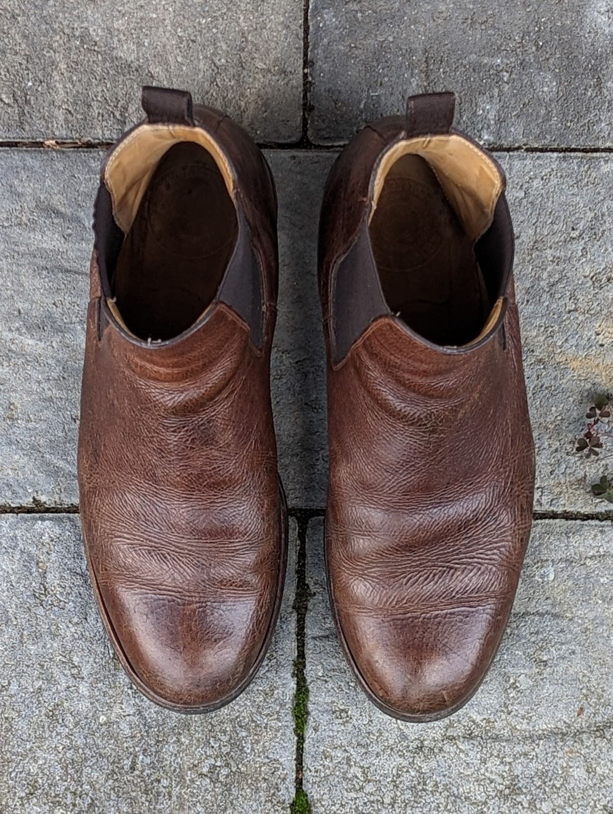 Photo by CanardGris on January 6, 2023 of the Mark Albert Chelsea Boot in Unlisted Leather.