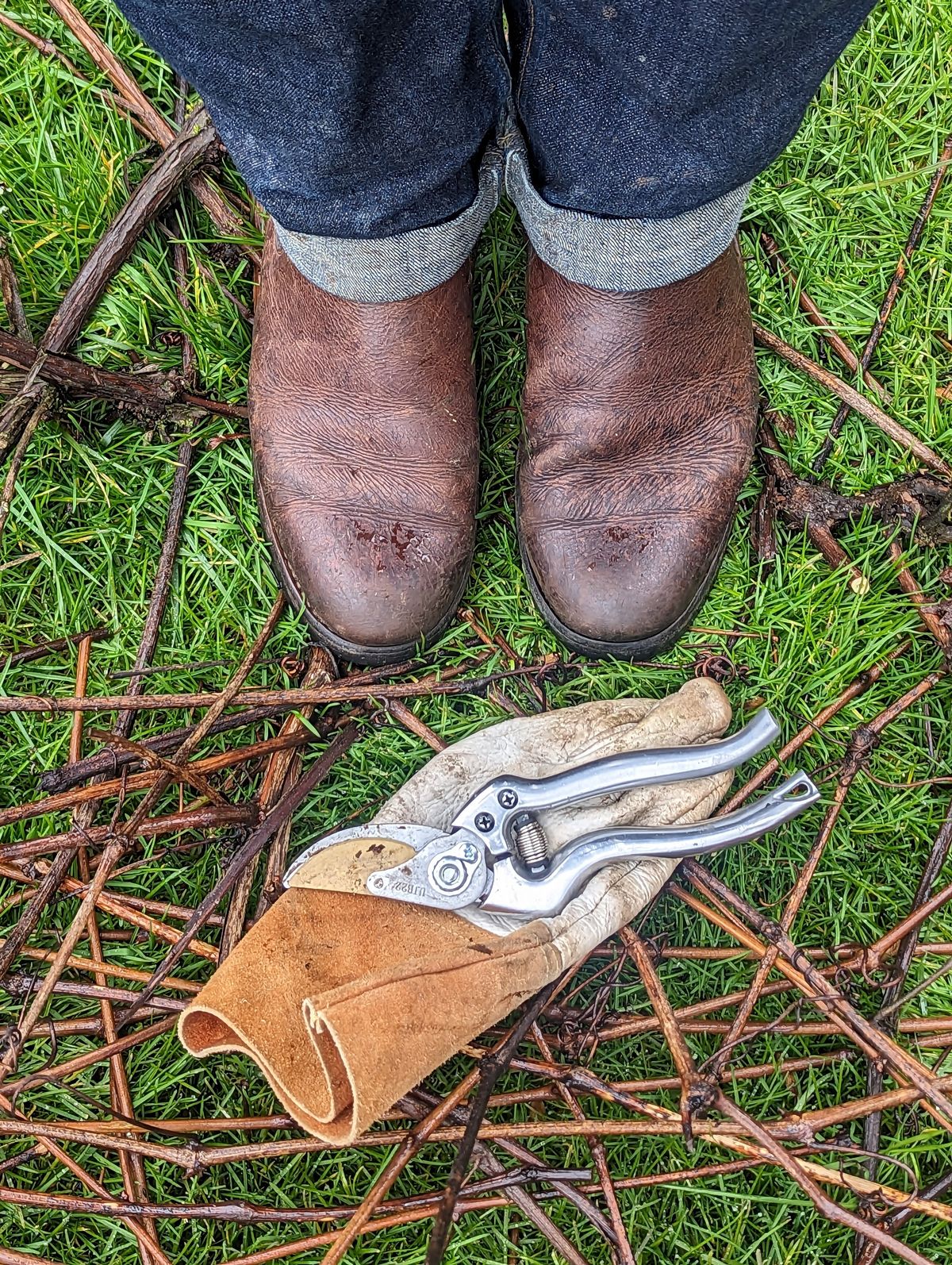 Photo by CanardGris on March 6, 2023 of the Mark Albert Chelsea Boot in Unlisted Leather.