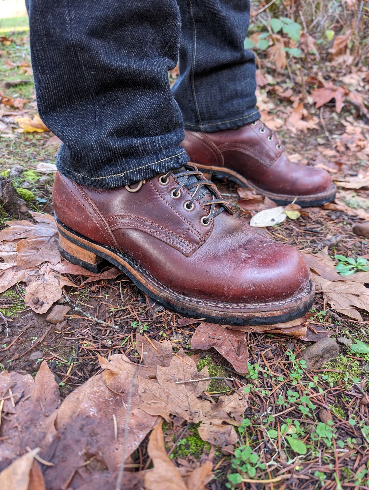 Photo by CanardGris on November 17, 2023 of the Drew's Boots 6-Inch Contractor in Rogue Smooth.