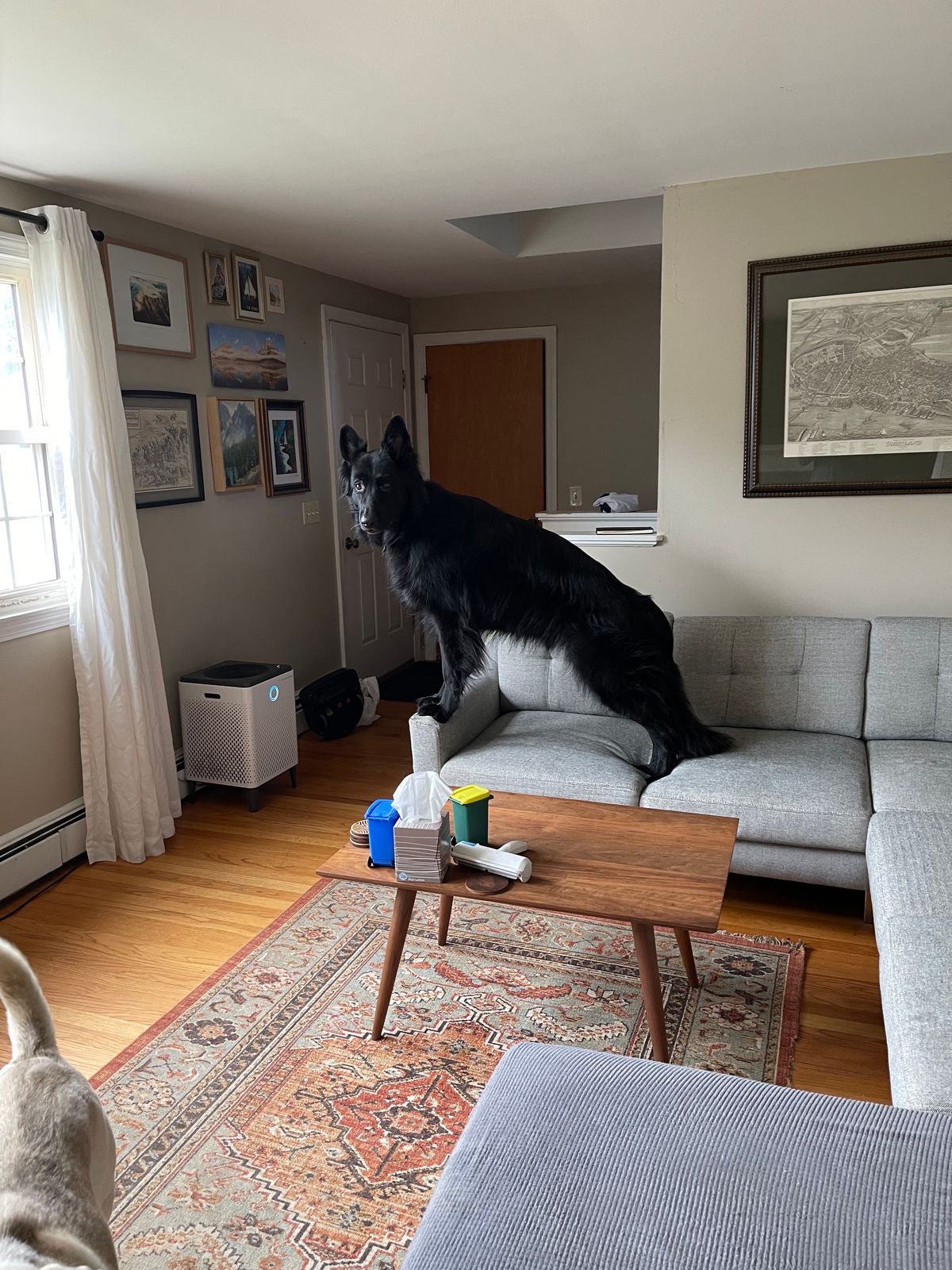 Photo by advancedbuffalo on October 1, 2023 of the Nicks Overlander in Wickett & Craig Natural Double Stuffed.