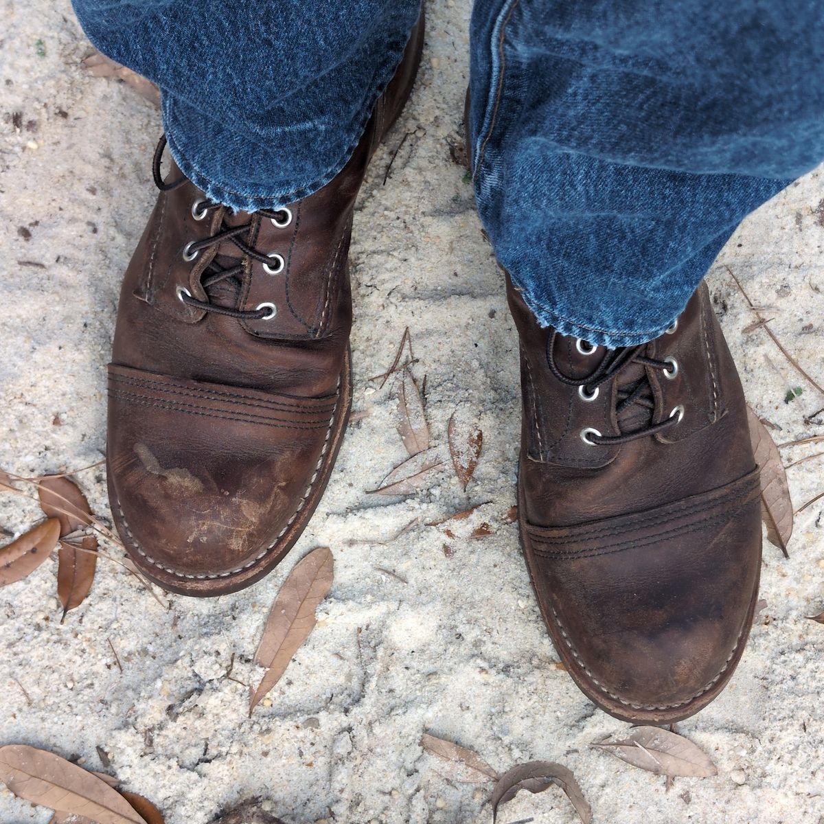 Photo by abrinson on March 14, 2024 of the Red Wing Iron Ranger in S.B. Foot Amber Harness.