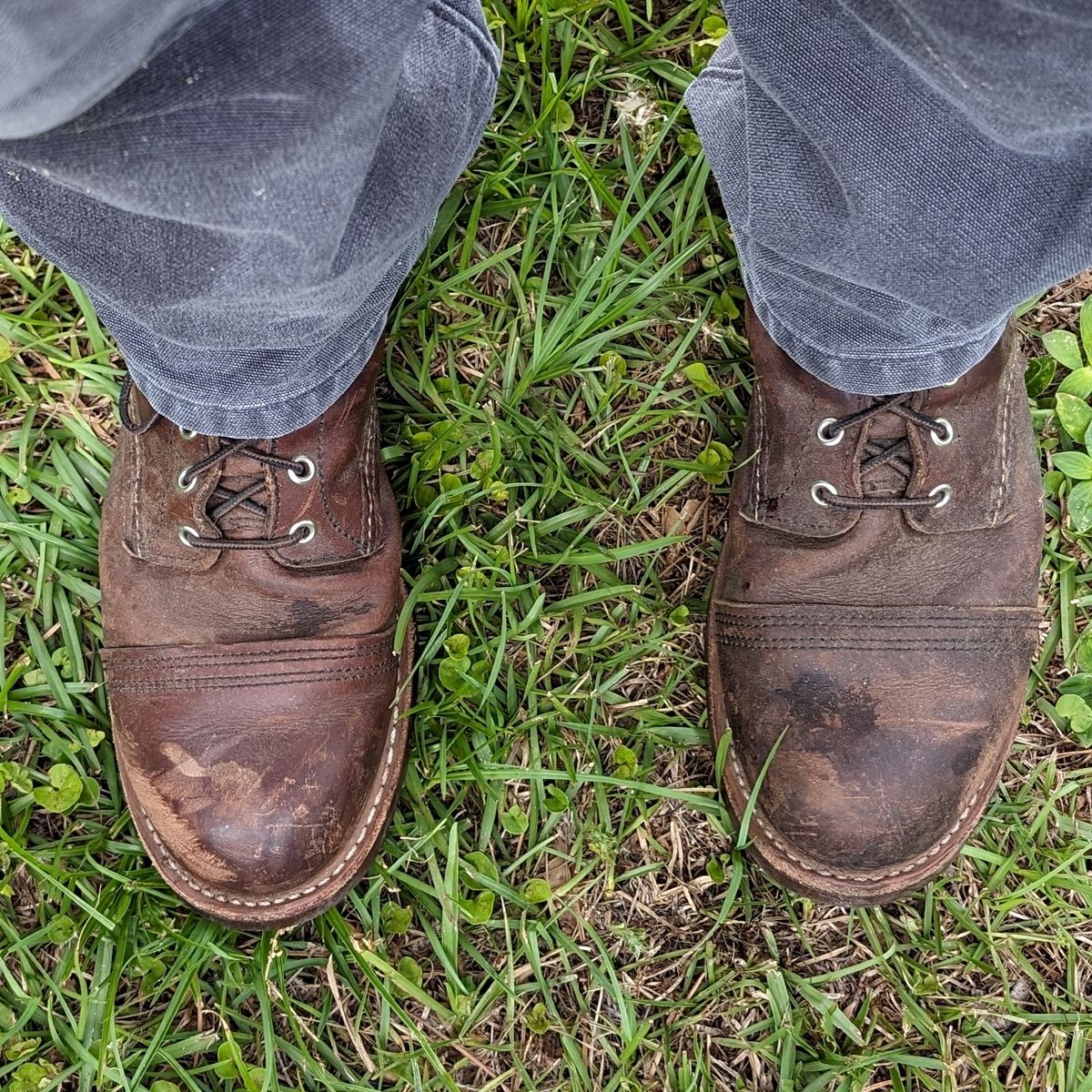 Photo by abrinson on May 4, 2024 of the Red Wing Iron Ranger in S.B. Foot Amber Harness.