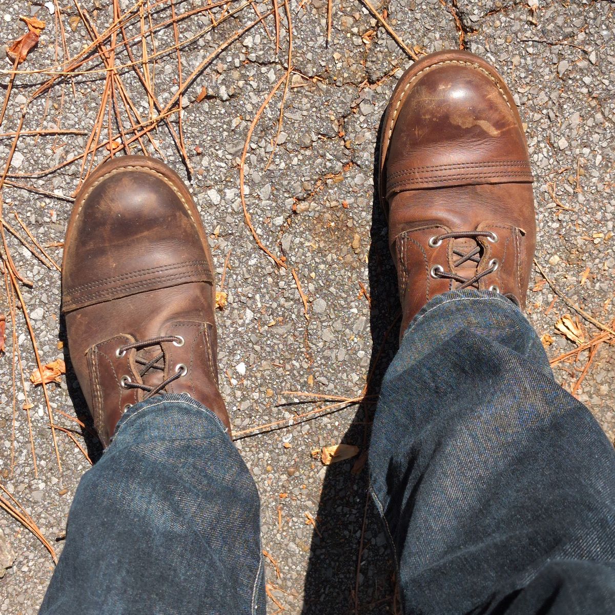 Photo by abrinson on August 18, 2024 of the Red Wing Iron Ranger in S.B. Foot Amber Harness.