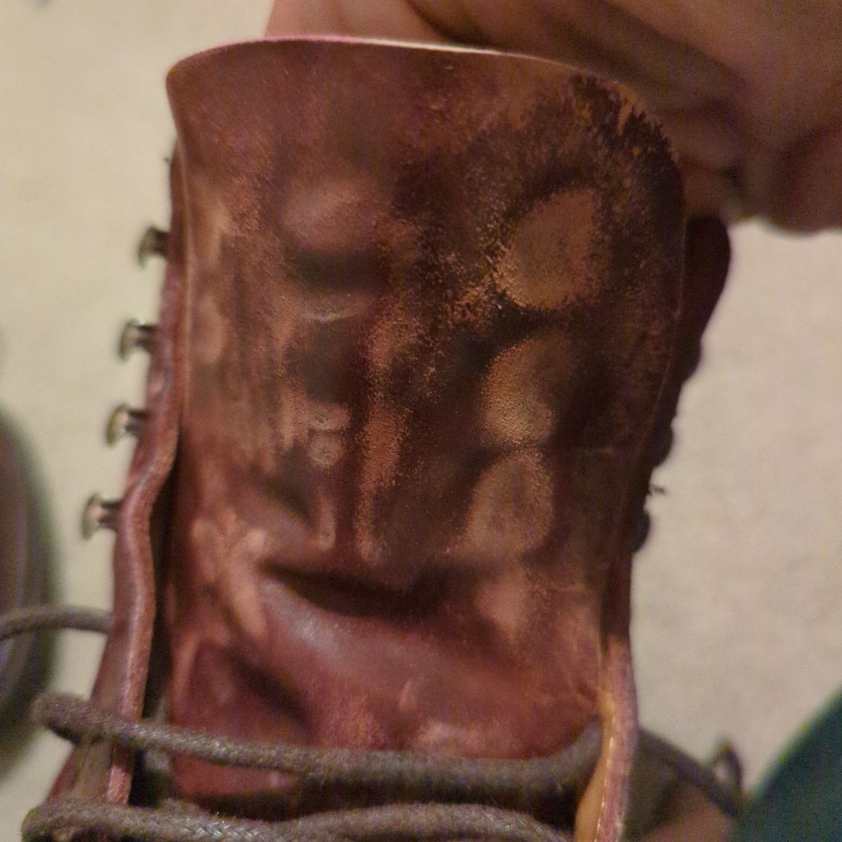 Photo by abrinson on October 18, 2022 of the Meermin Jumper Boot in Burgundy Heritage Shell Cordovan.