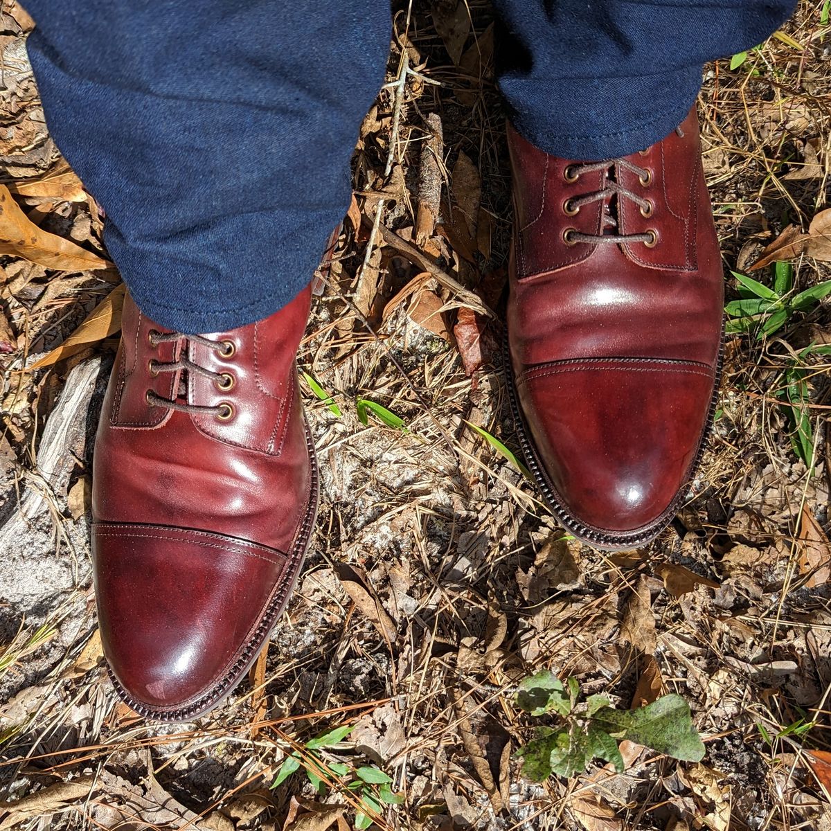 Photo by abrinson on November 10, 2022 of the Meermin Jumper Boot in Burgundy Heritage Shell Cordovan.
