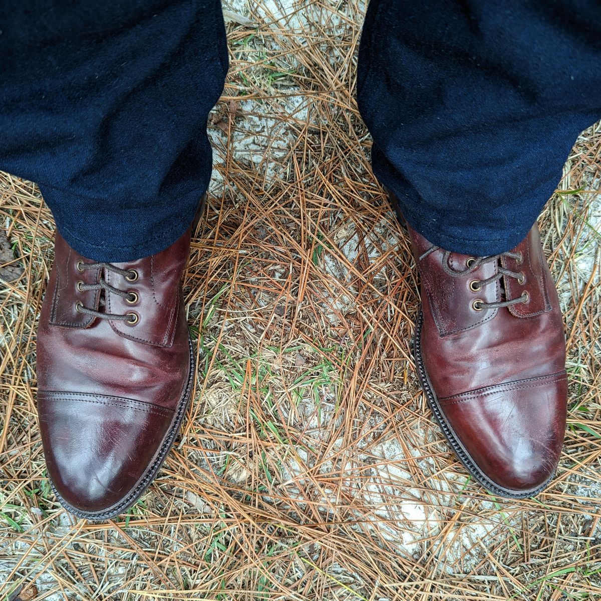 Photo by abrinson on December 11, 2022 of the Meermin Jumper Boot in Burgundy Heritage Shell Cordovan.