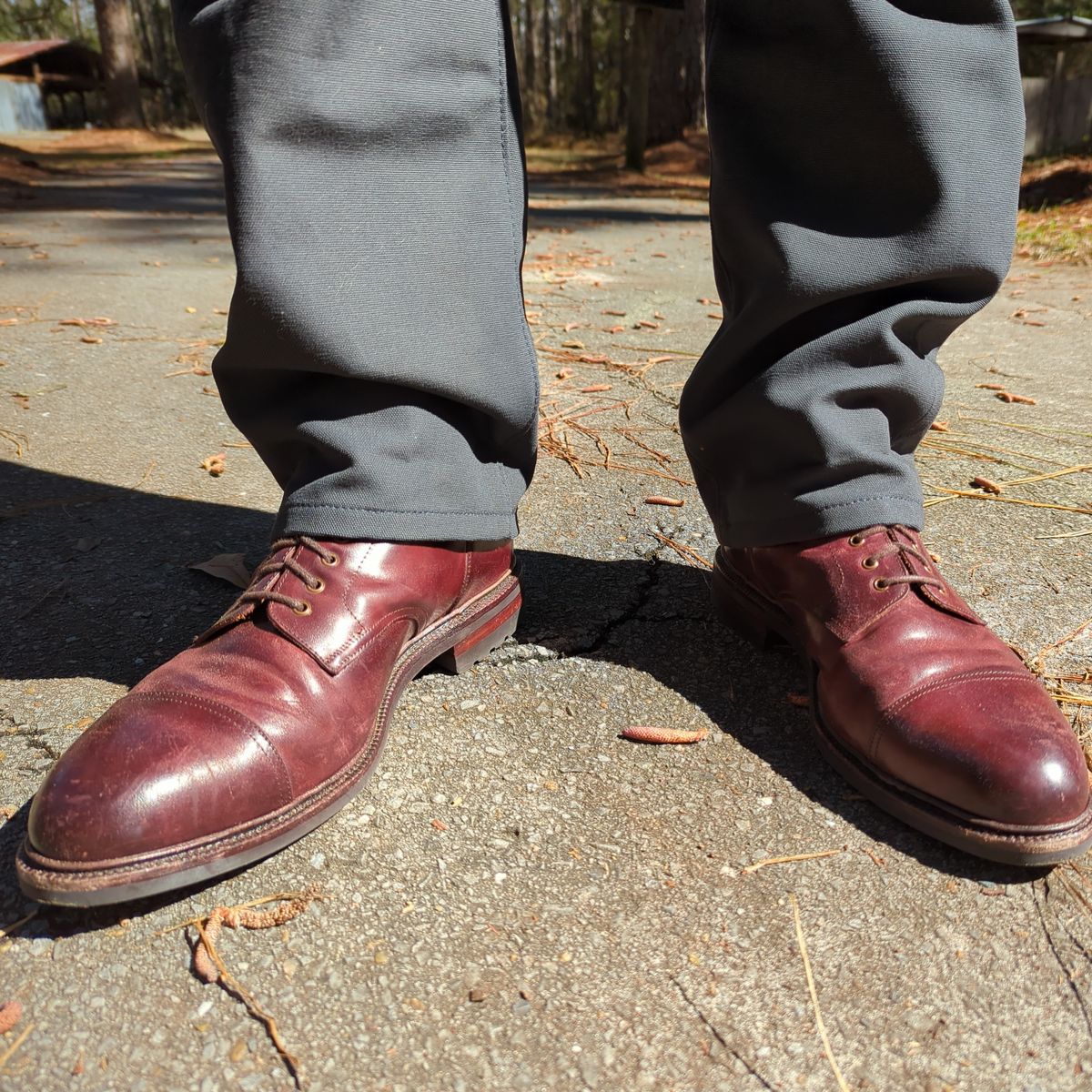 Photo by abrinson on February 12, 2023 of the Meermin Jumper Boot in Burgundy Heritage Shell Cordovan.