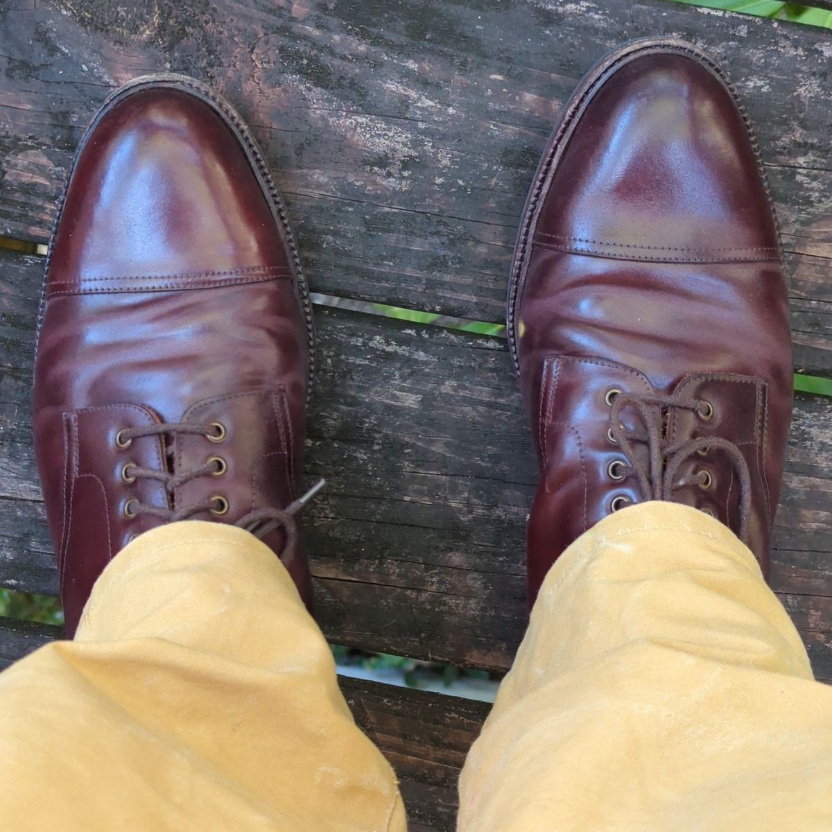 Photo by abrinson on October 2, 2023 of the Meermin Jumper Boot in Burgundy Heritage Shell Cordovan.