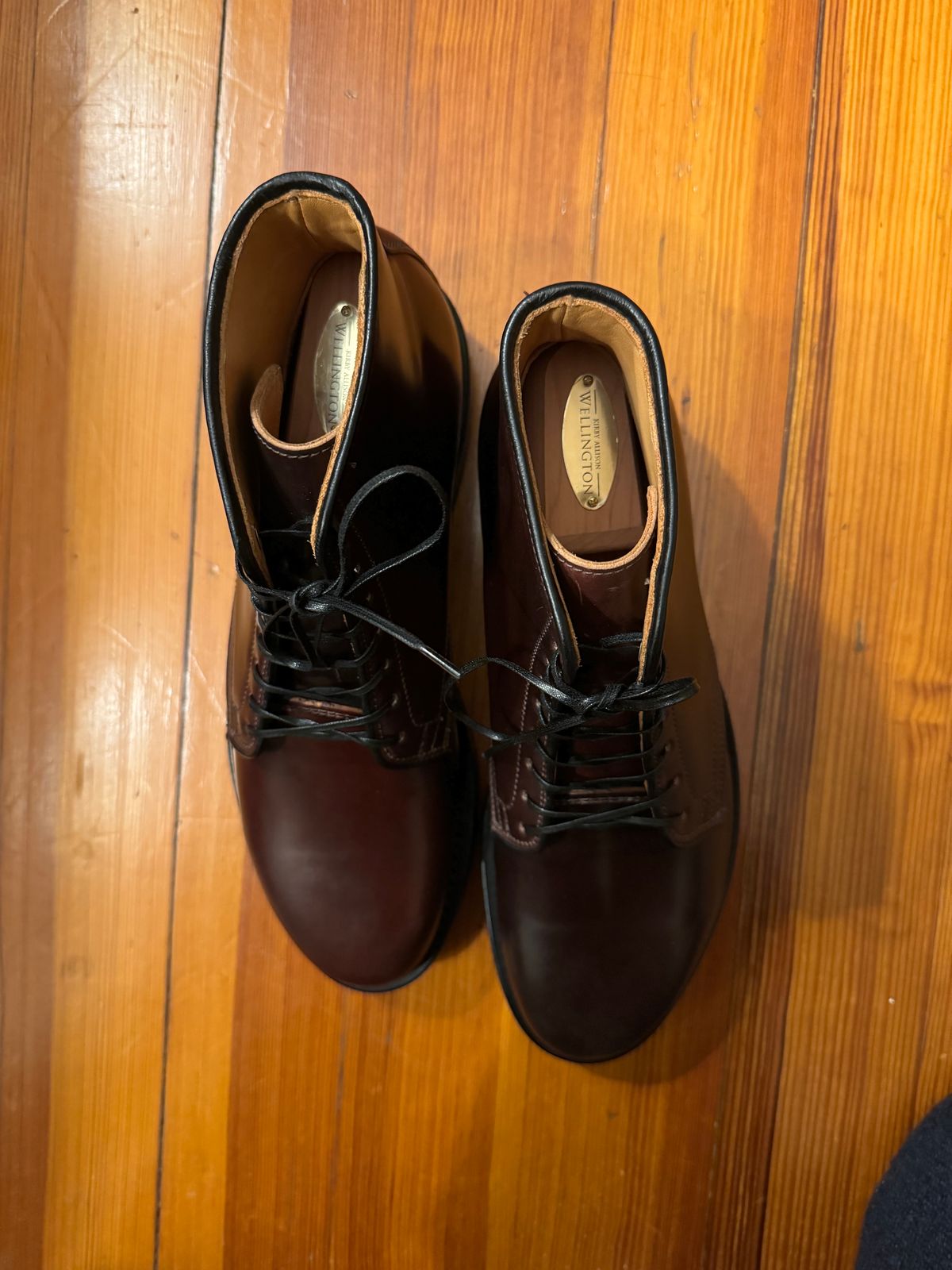 Photo by neerja27 on October 9, 2023 of the Viberg Unknown Model in Horween Color 8 Shell Cordovan.