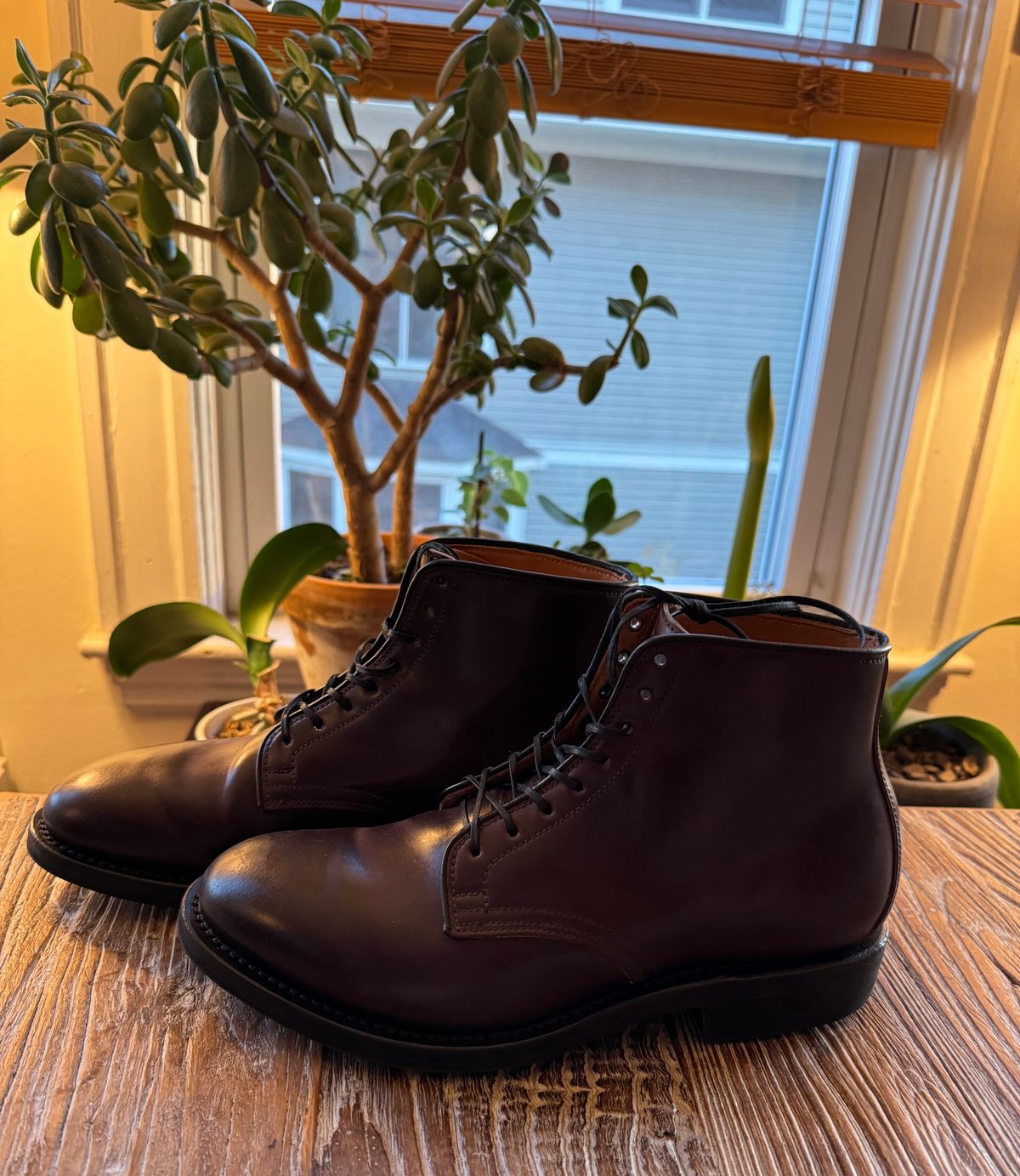 Photo by neerja27 on January 2, 2024 of the Viberg Unknown Model in Horween Color 8 Shell Cordovan.