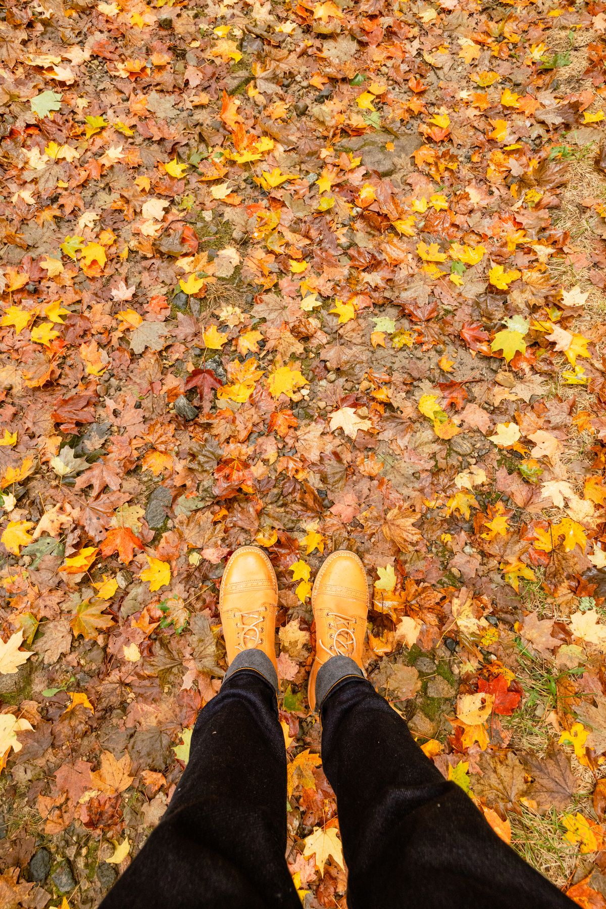 Photo by stl002 on November 2, 2022 of the Wesco Hendrik in Horween Natural Essex.